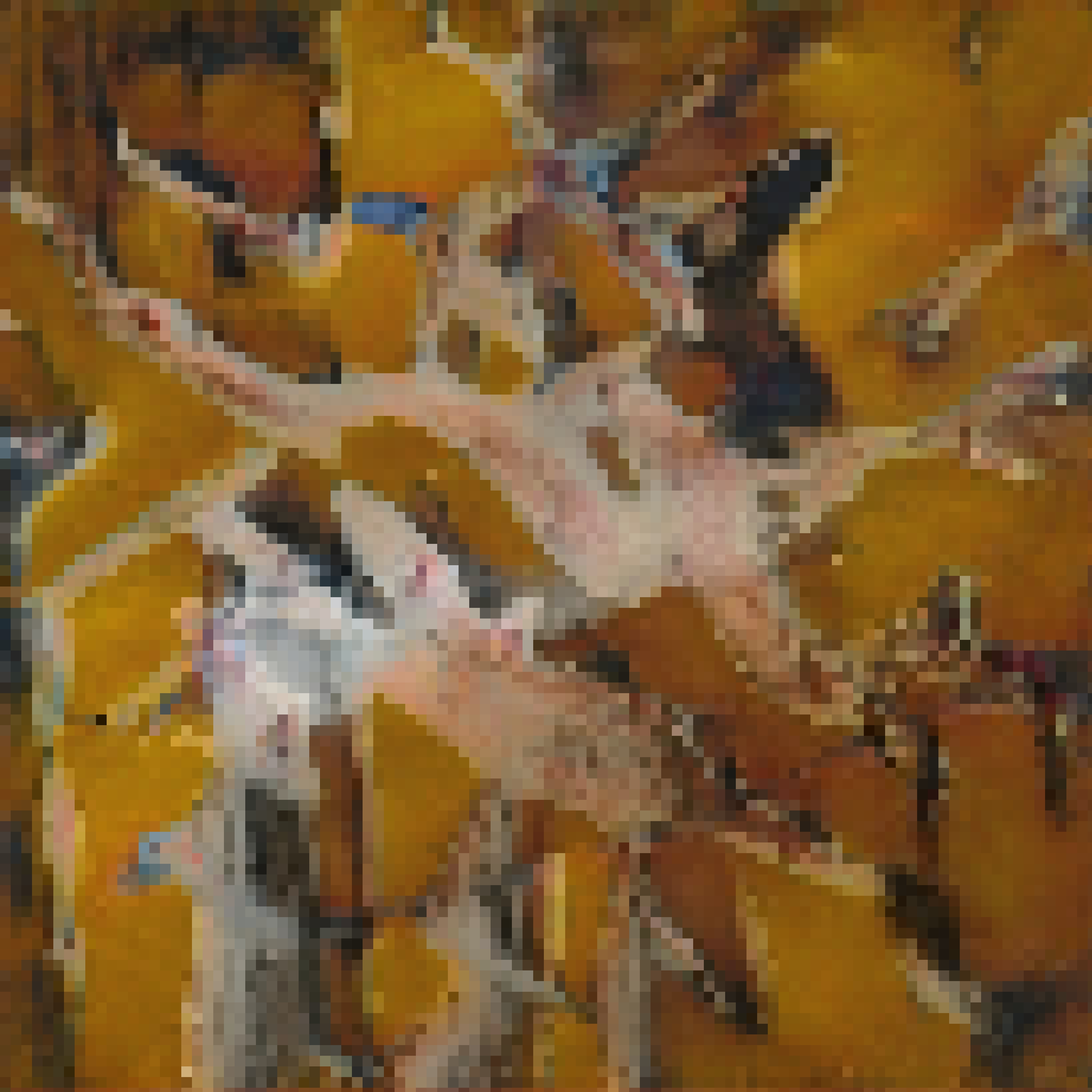 Cosmic Meta Pixel Art #62