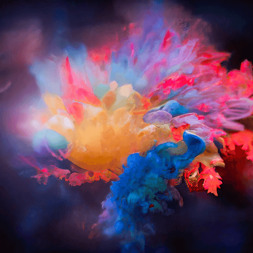 Explosion of Color #73