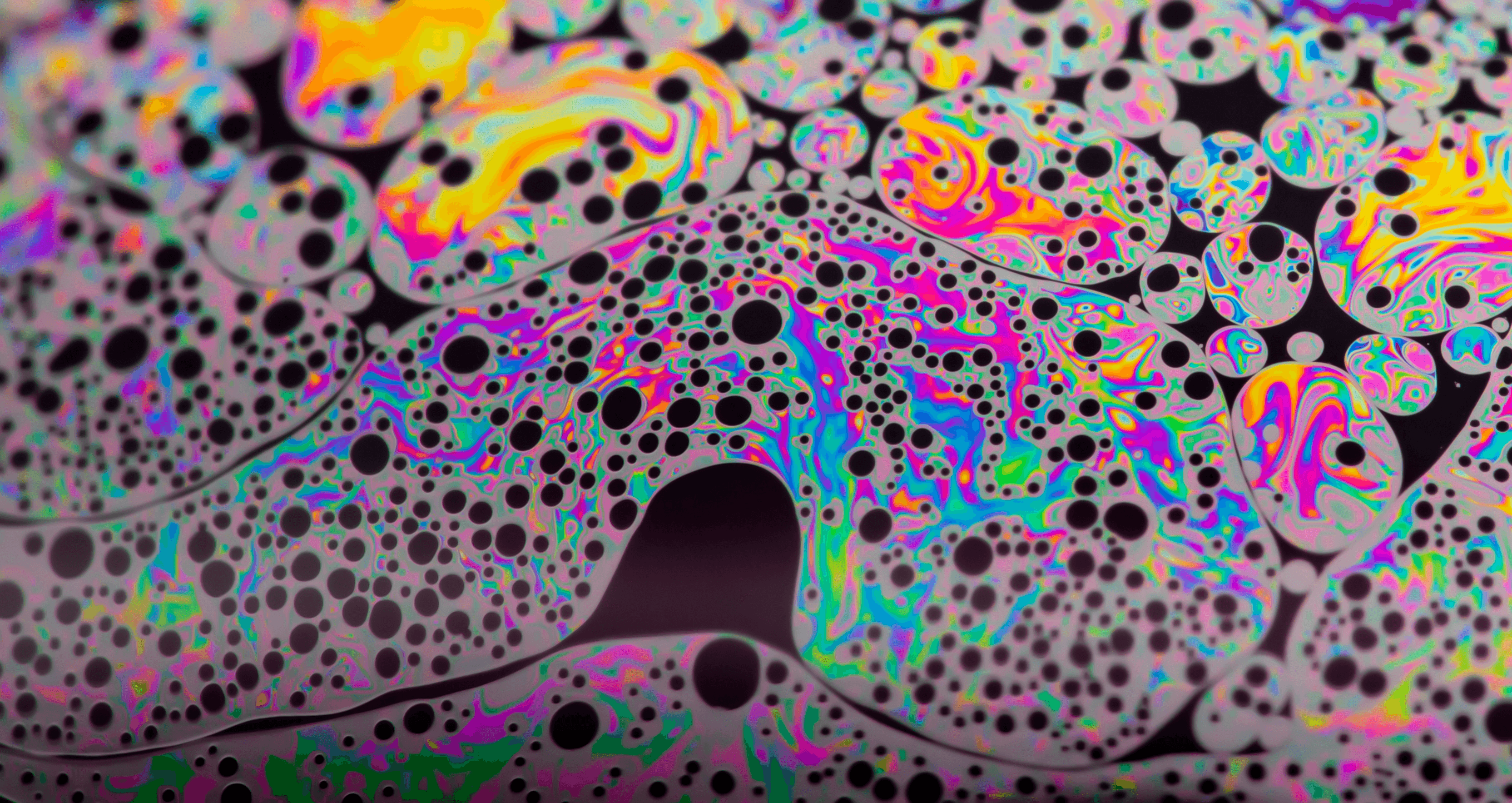 The adolescent brain