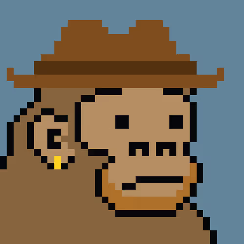 Kong Punk #06395