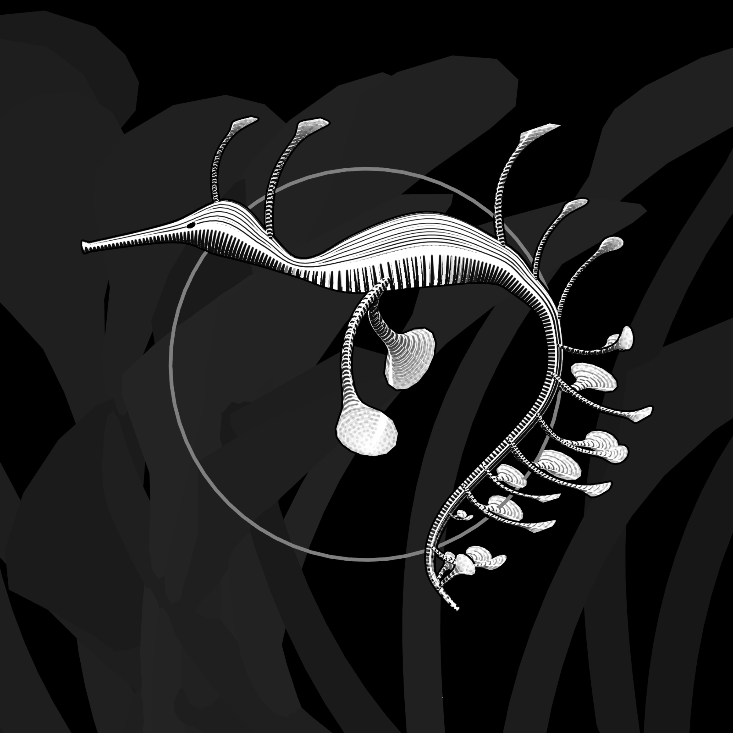 Seadragons #32