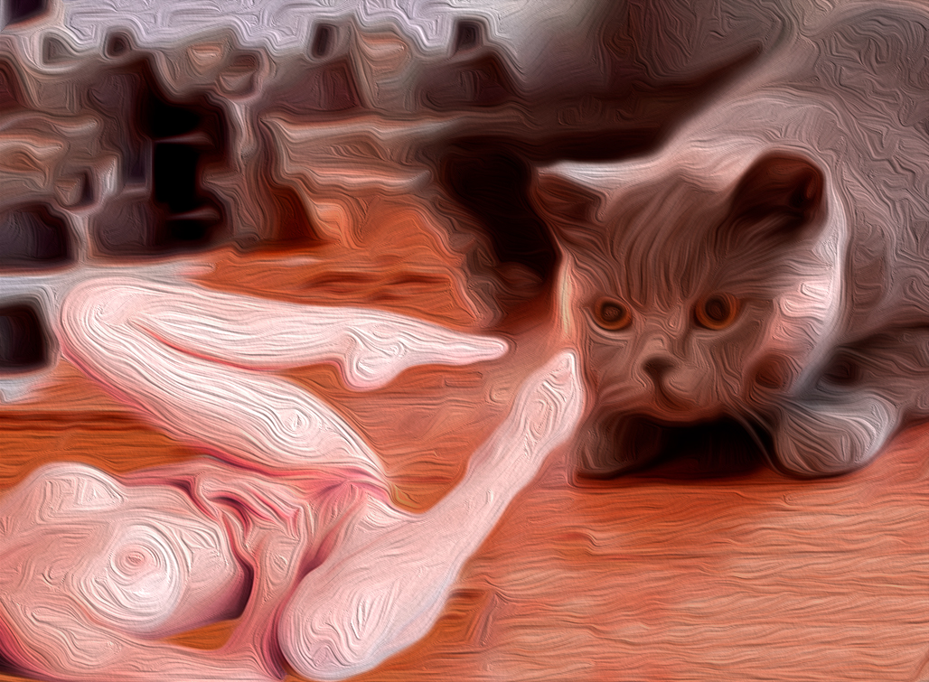 Pussy Meeting