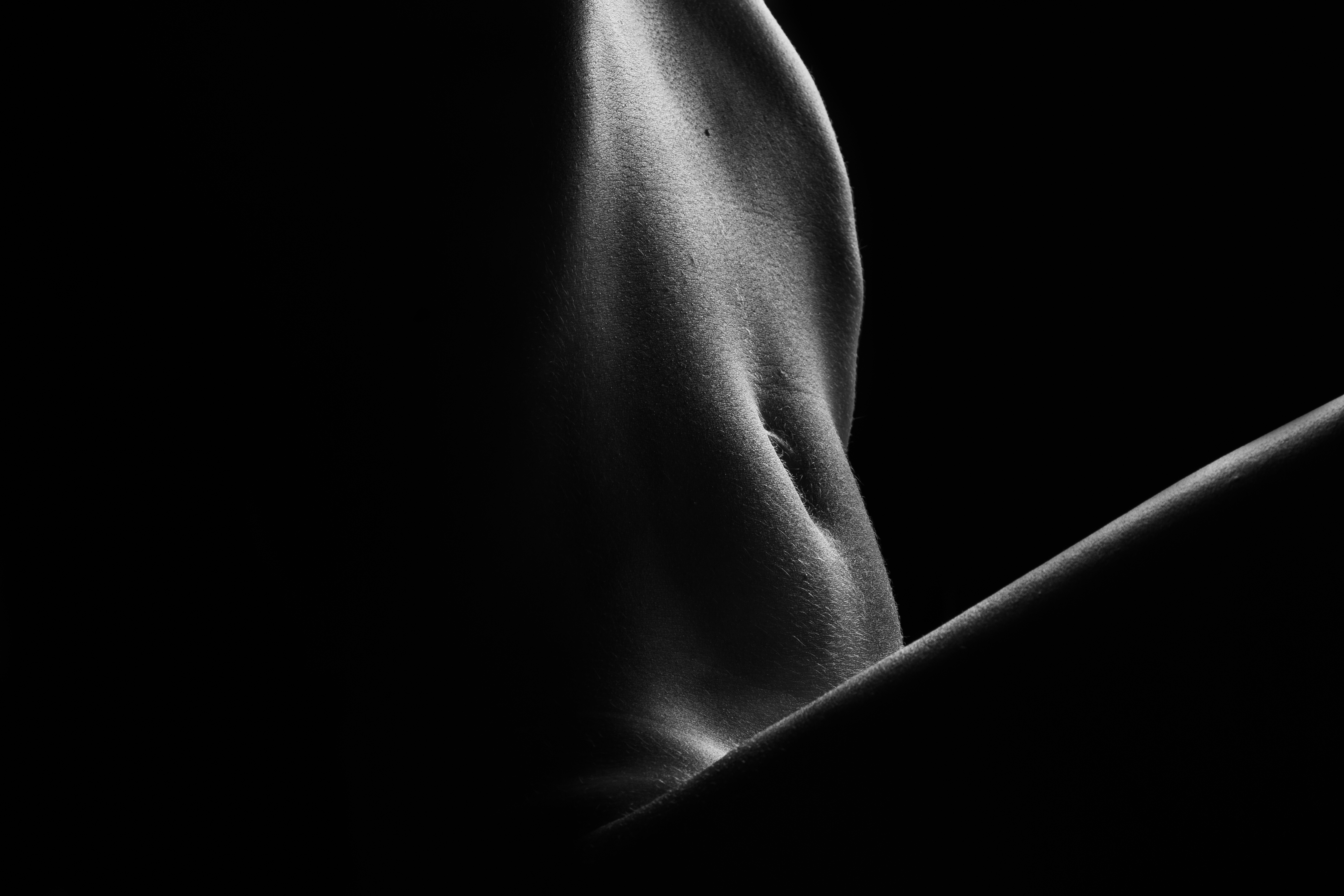 BODY STUDY-010