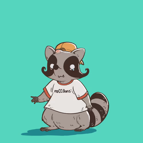 02 Toddler Raccoon