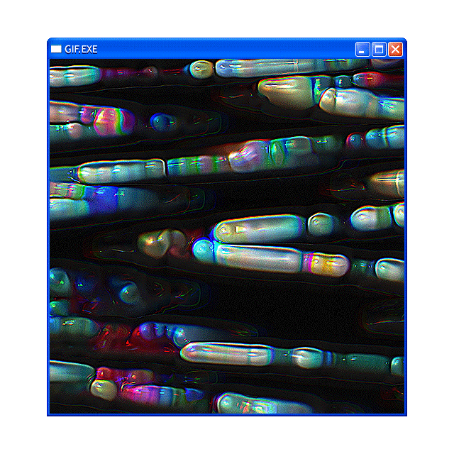GIF.EXE #69