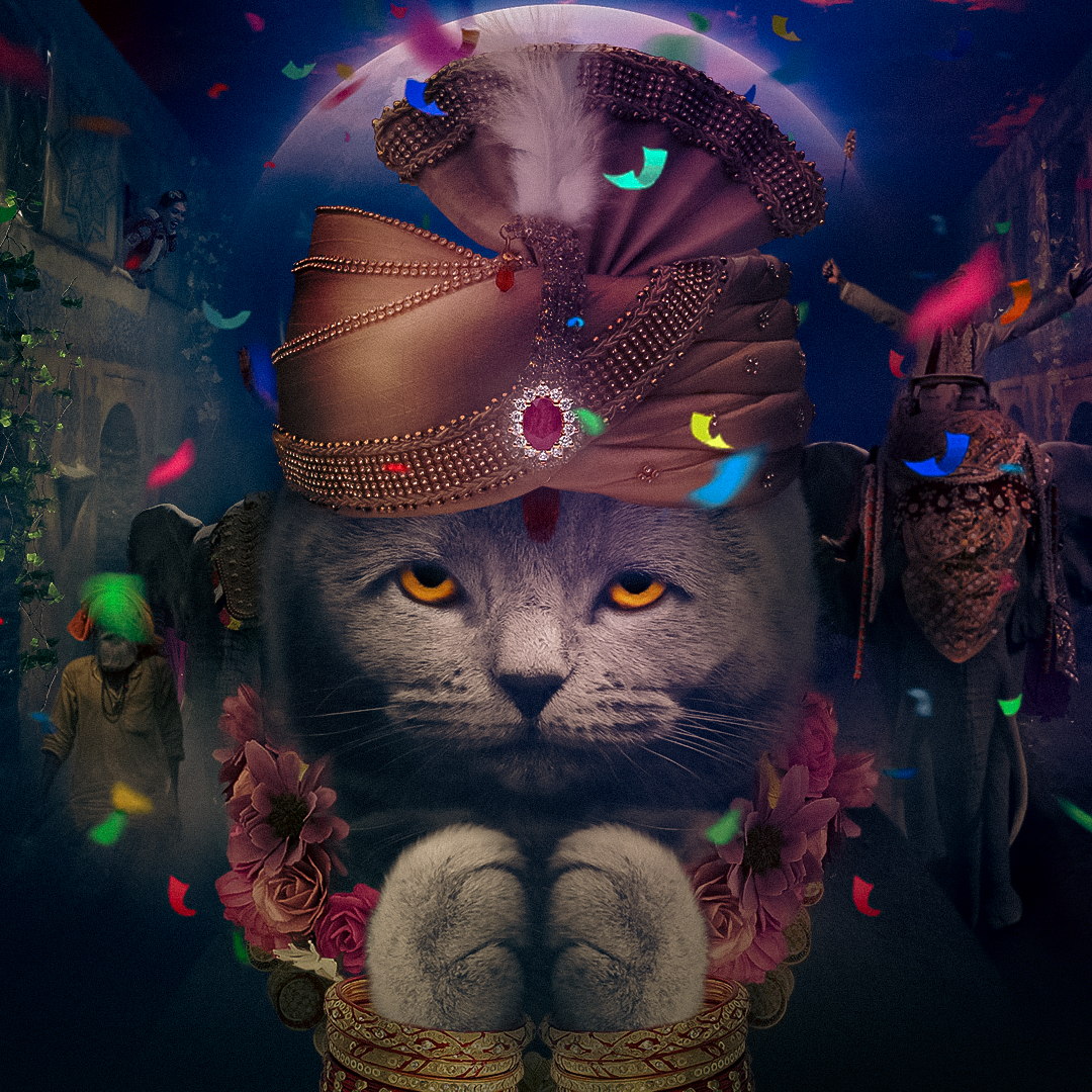 MiraKhan #003