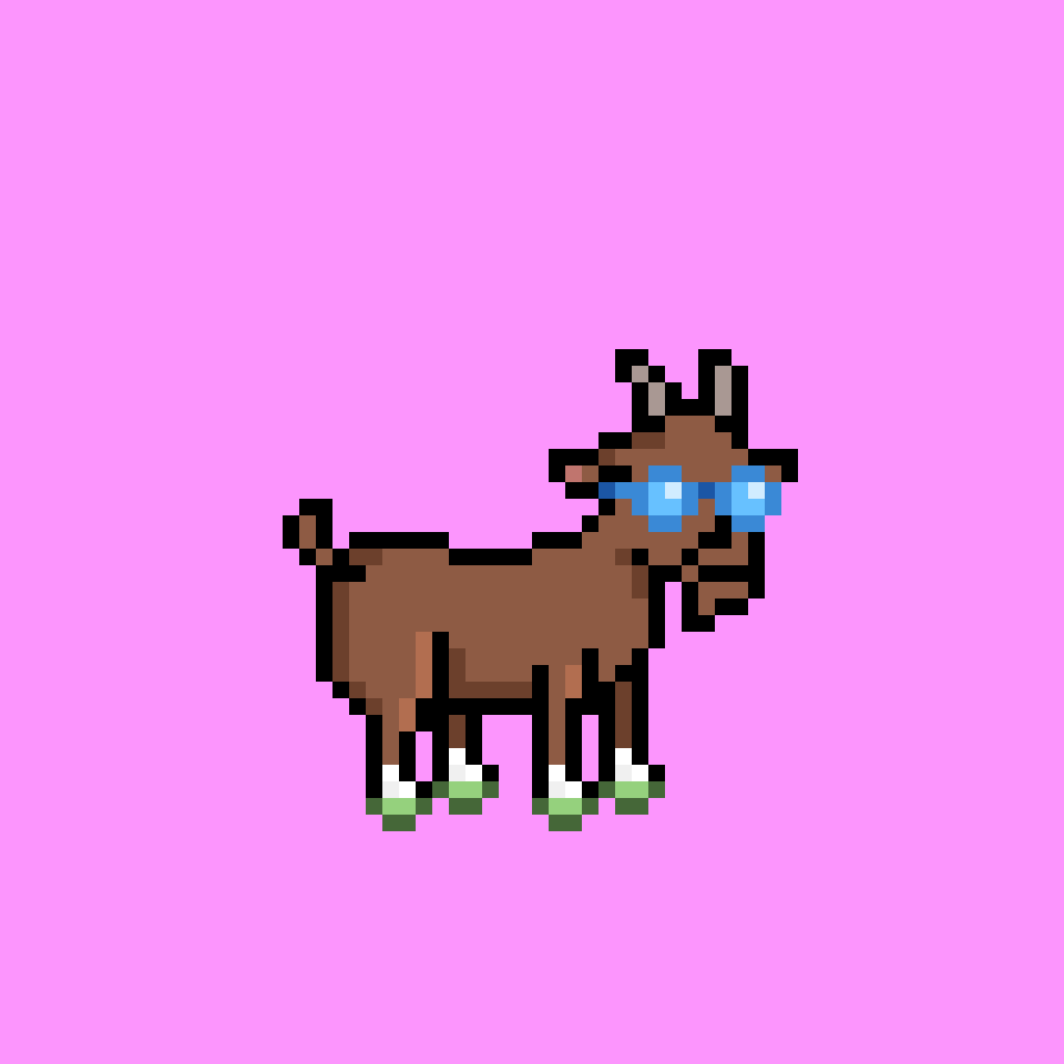 Goat #382