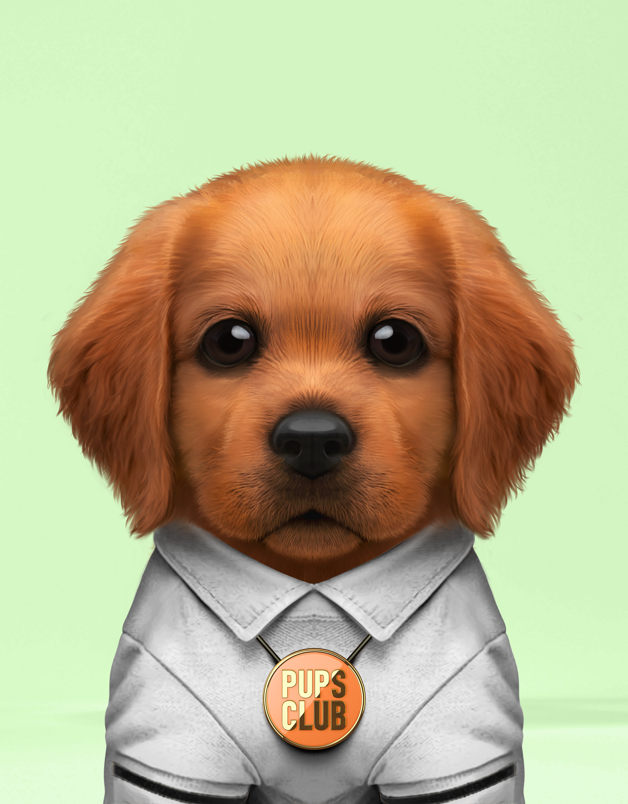 Pup #9014