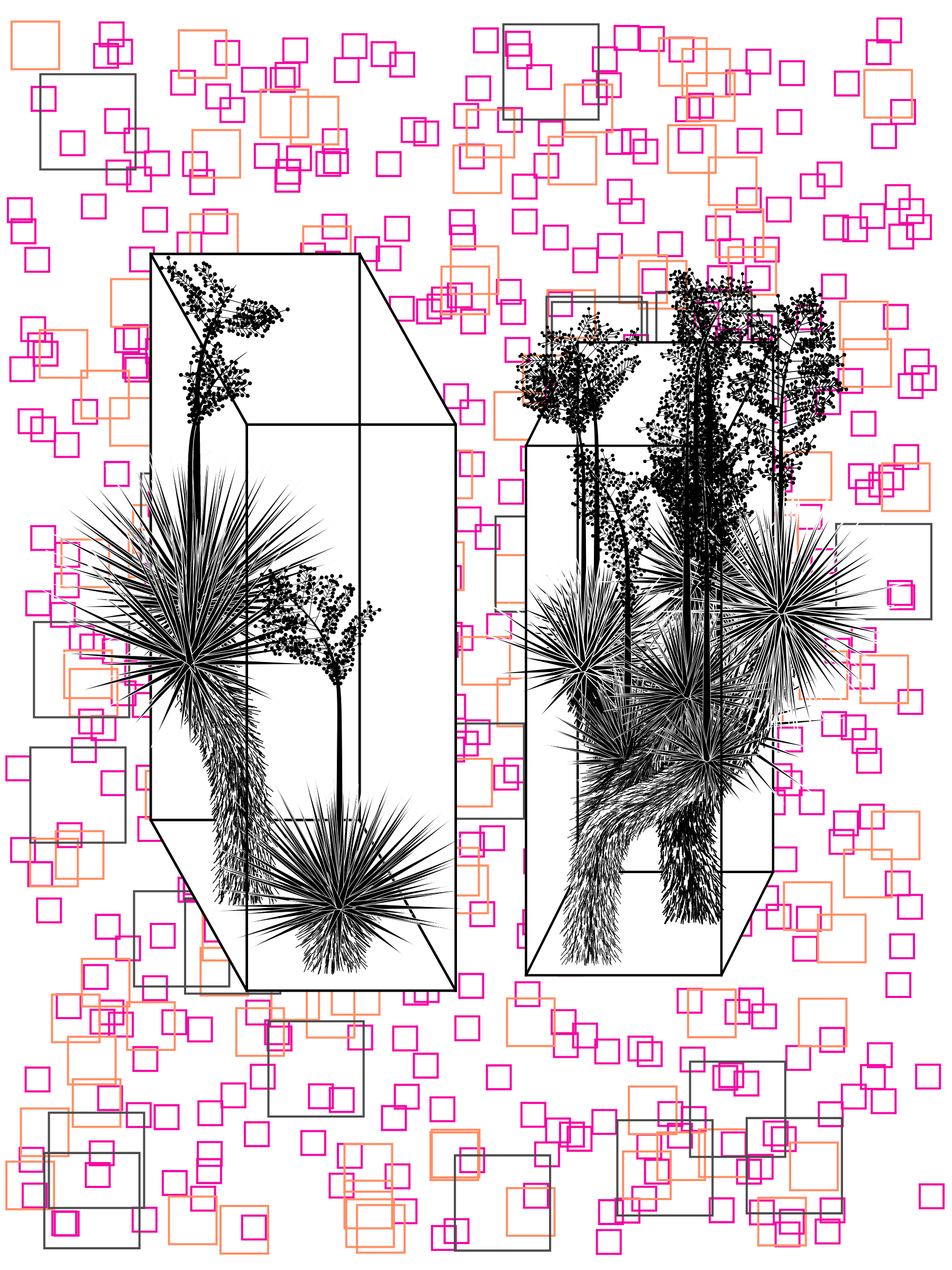 Marfa Yucca #278