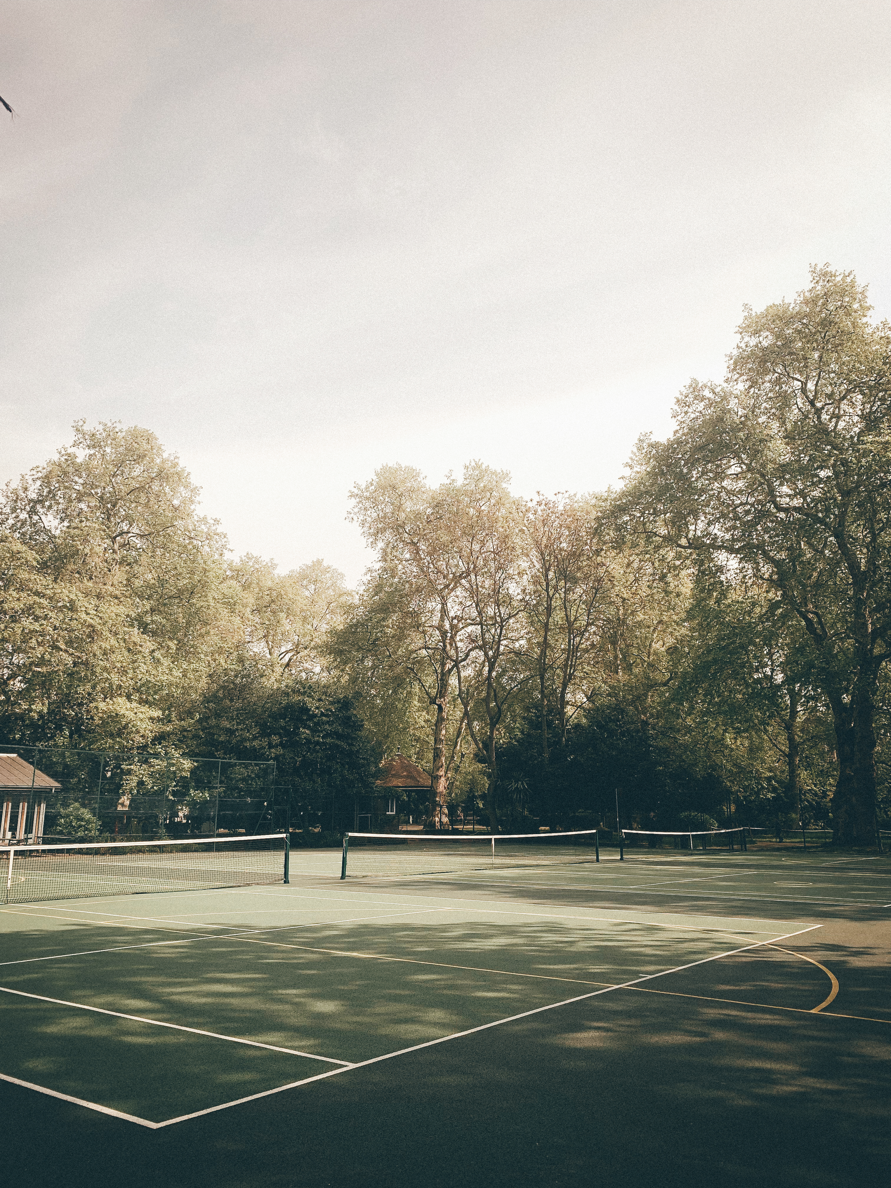 🌳 🎾 