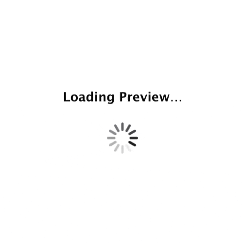 Loading Preview 