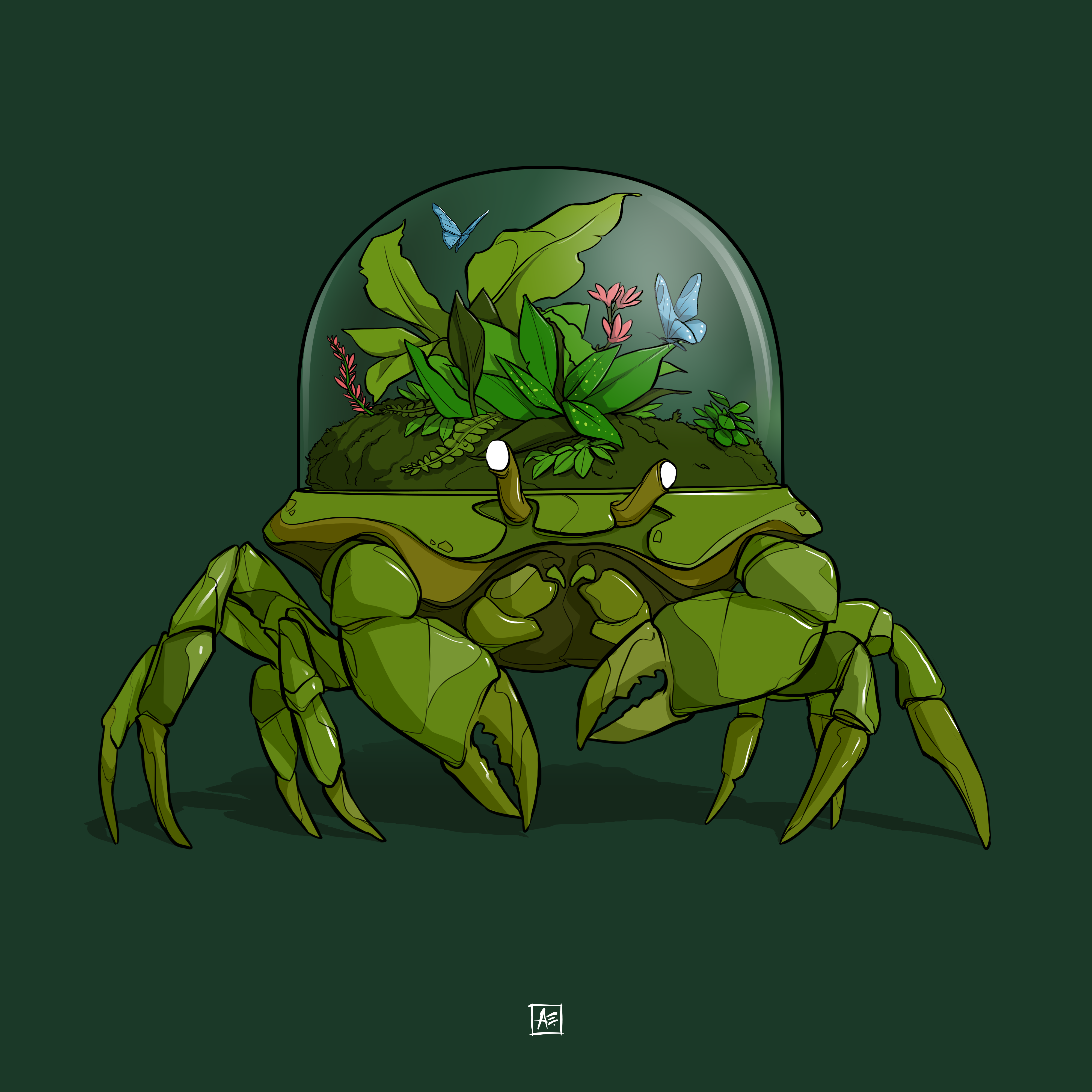 Decapod Terrarium