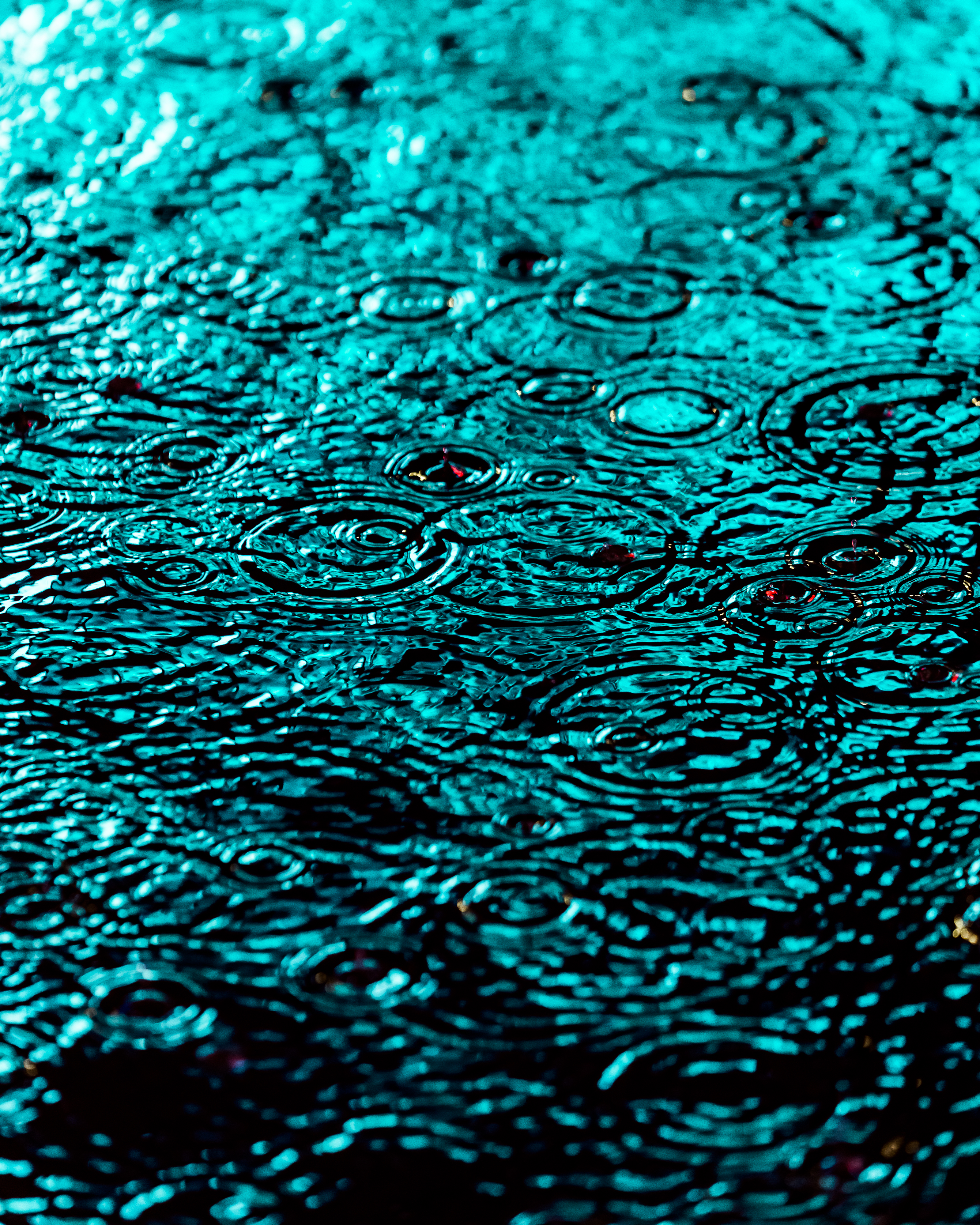 DRIP #456