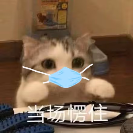sss11