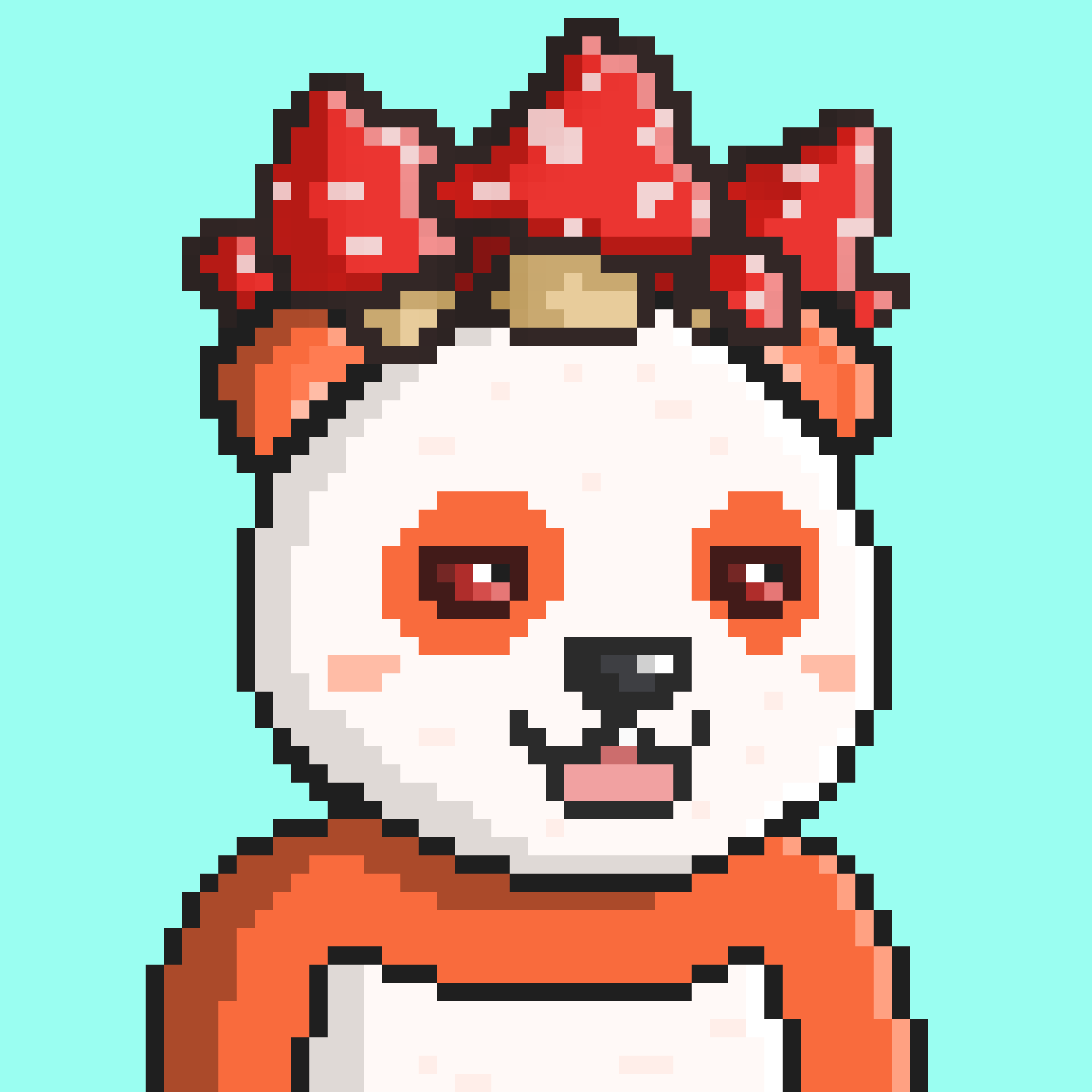 Moonpandas #1049