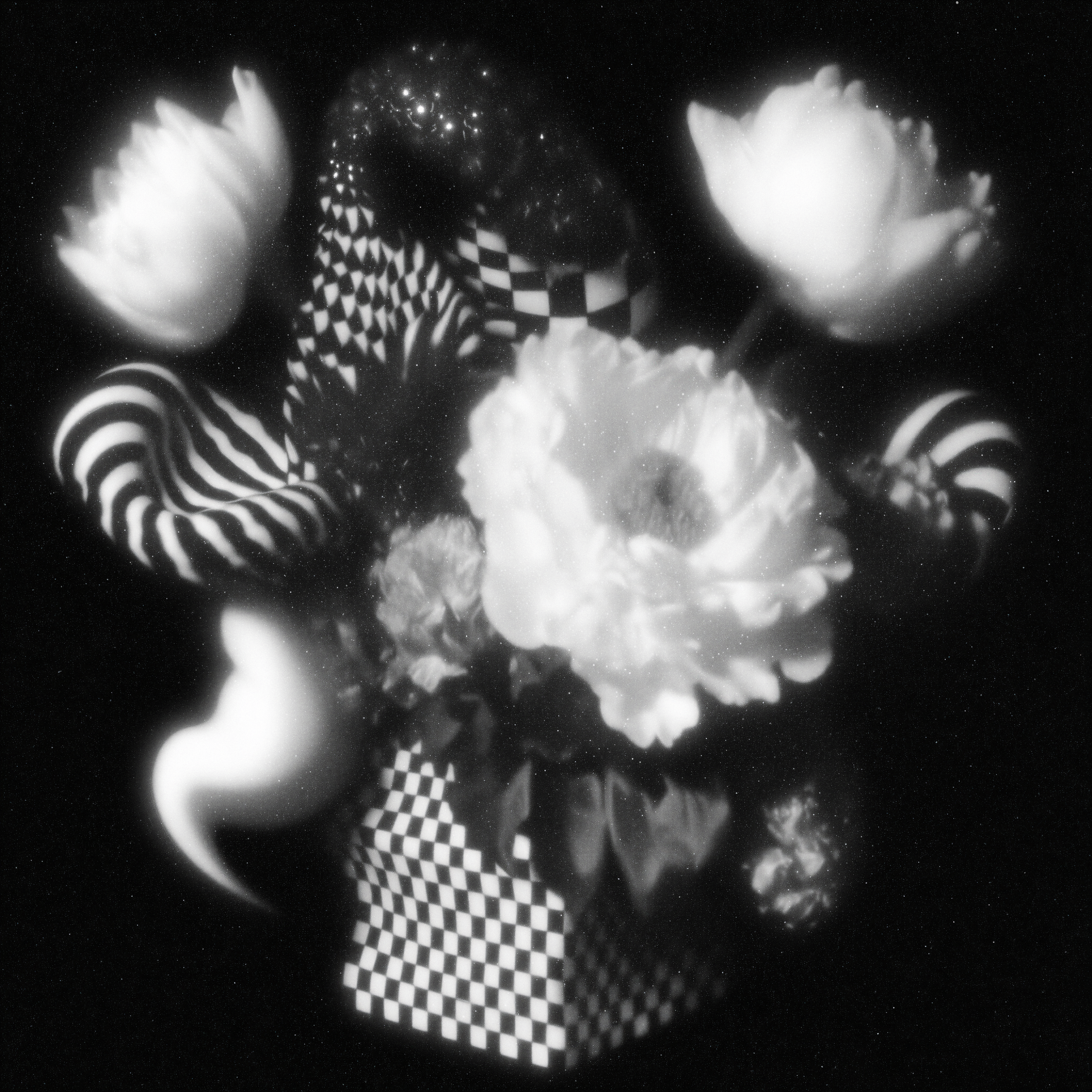 Petals Dissolving Into Spirals
