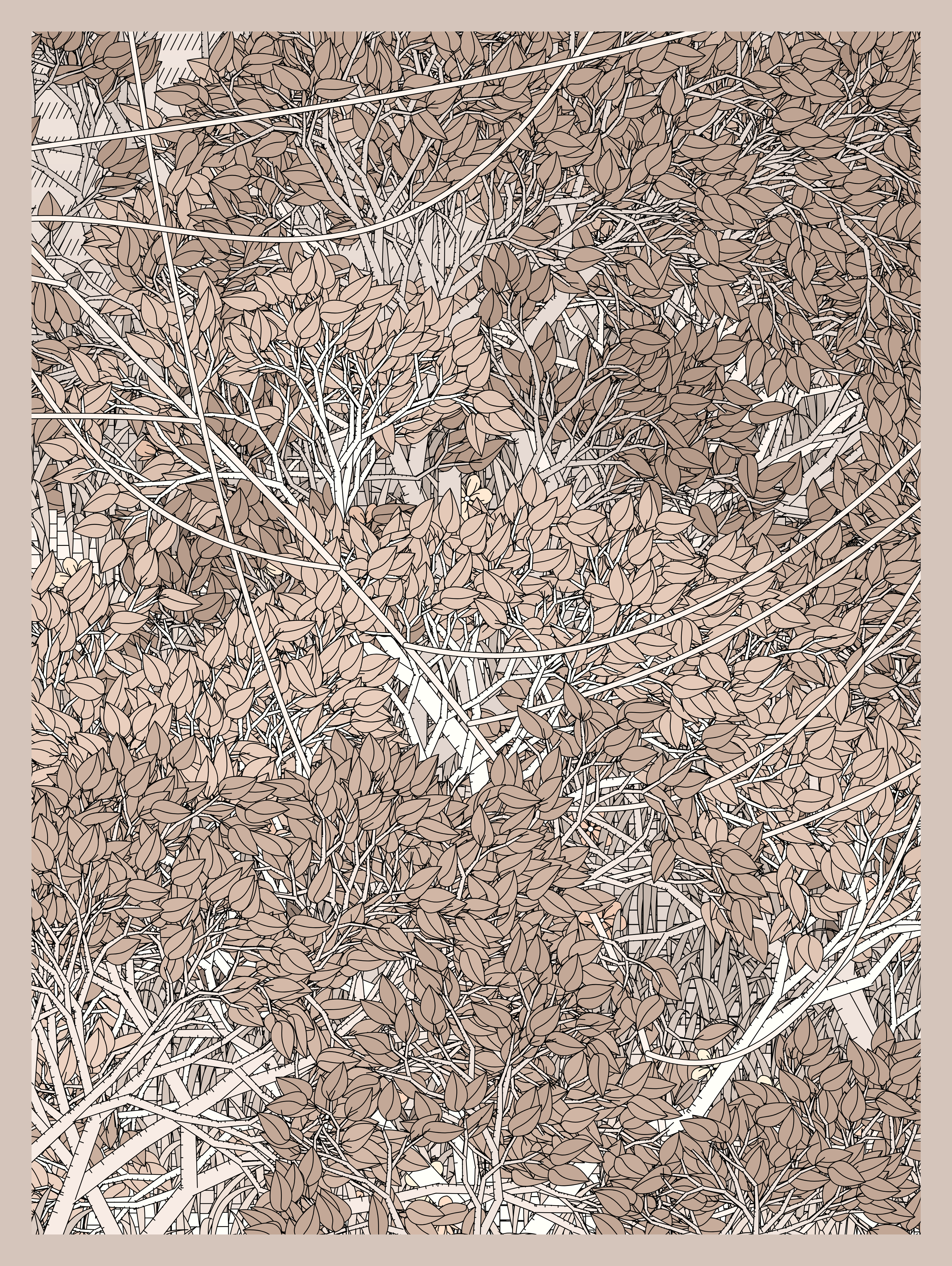 Entangled #351