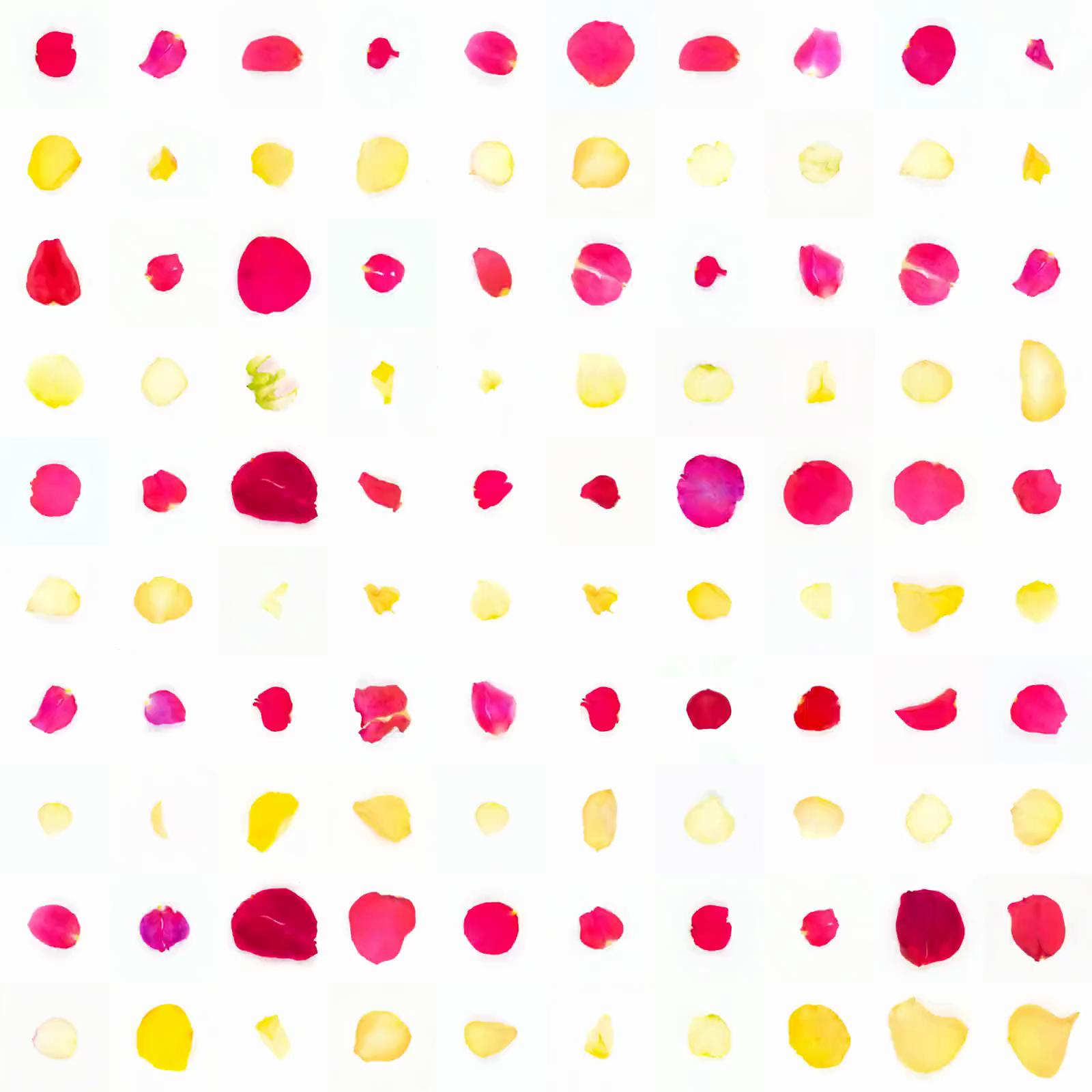 Infinite Petals 10x10#10195