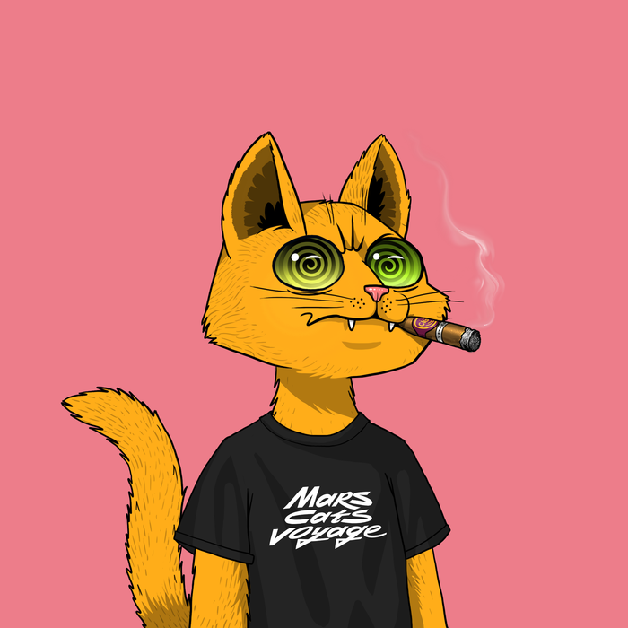 Mars Cat #5918