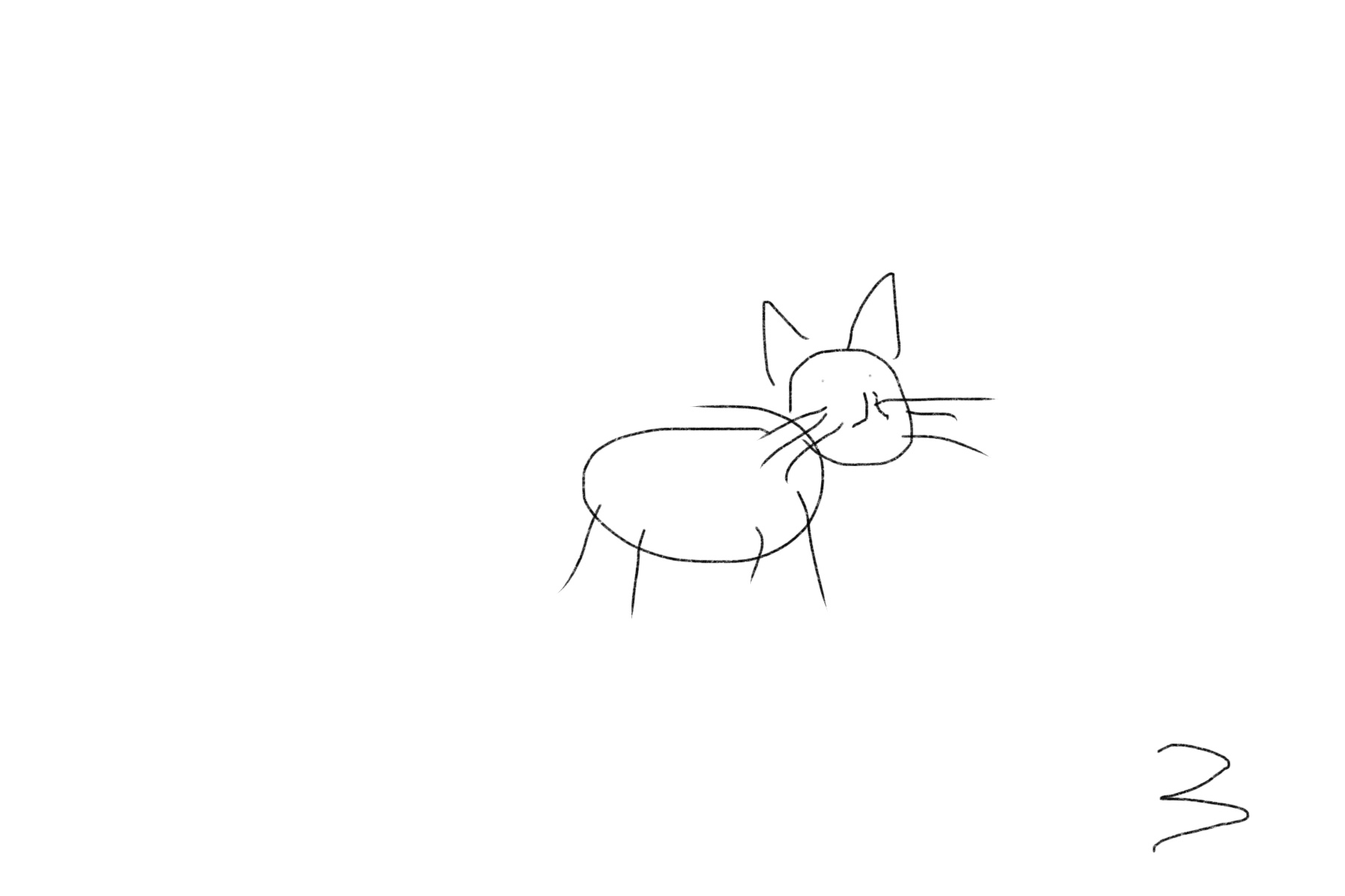 cat