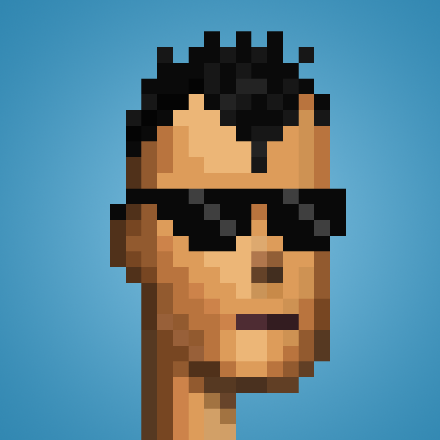 Punk #1531