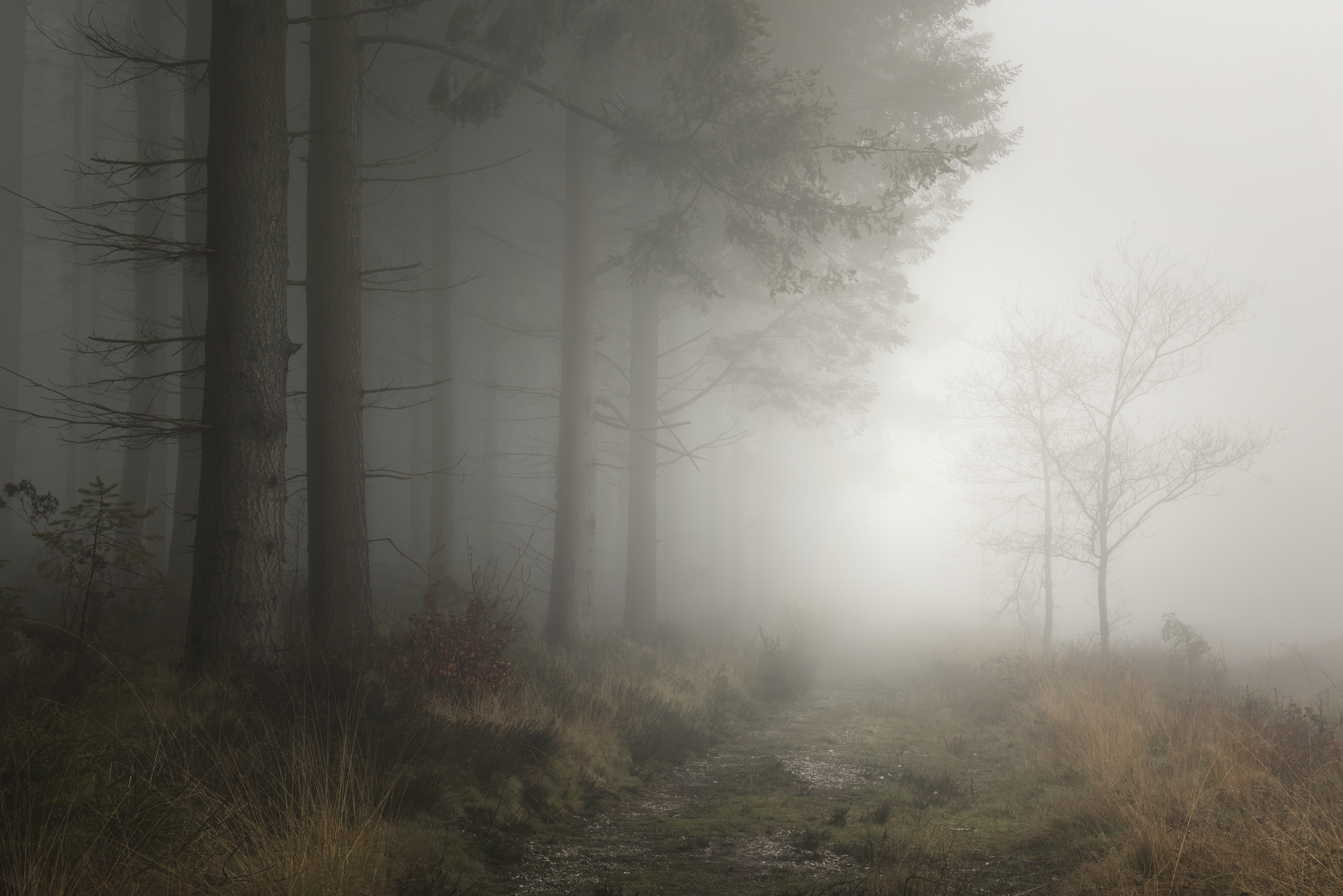 PATHWAY
