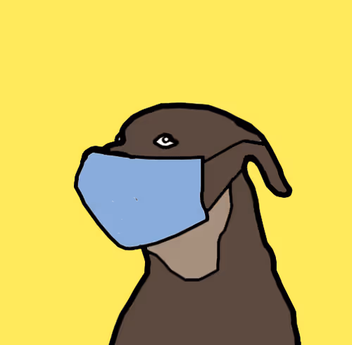 CryptoSami #187