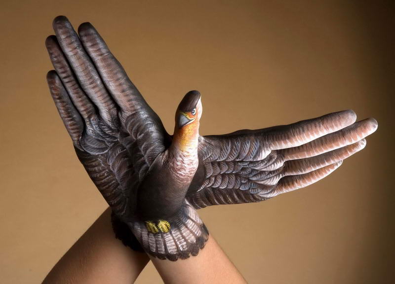 Bird