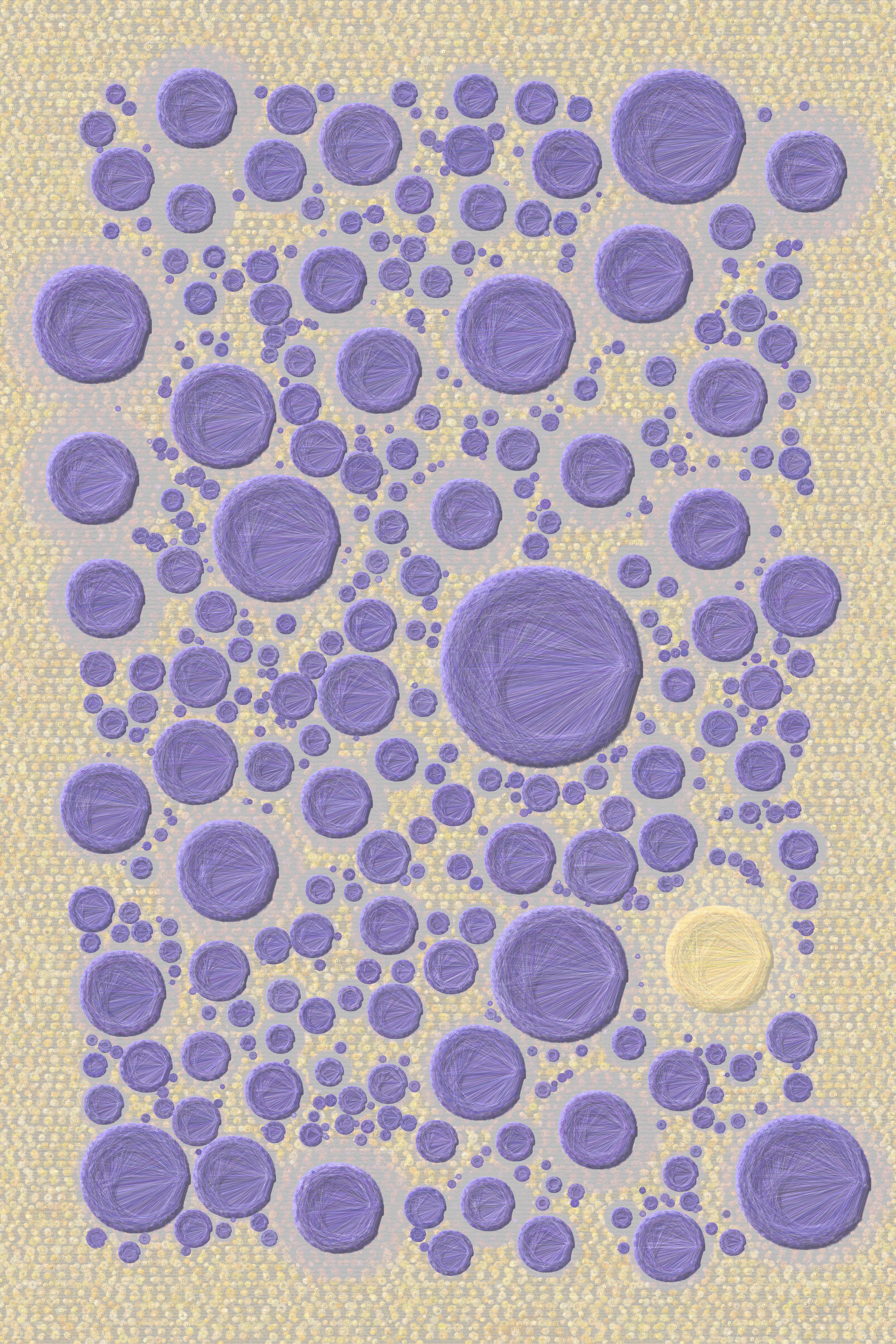 lavender fields