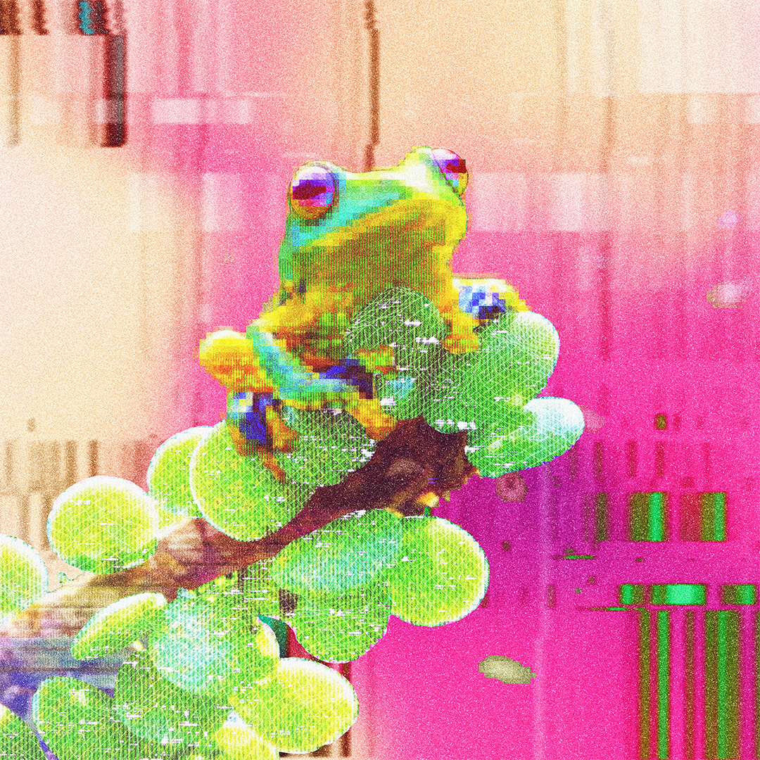 fr0̷g_011