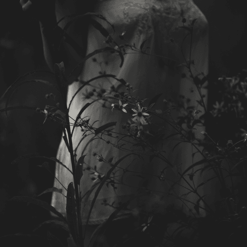 Photo #28