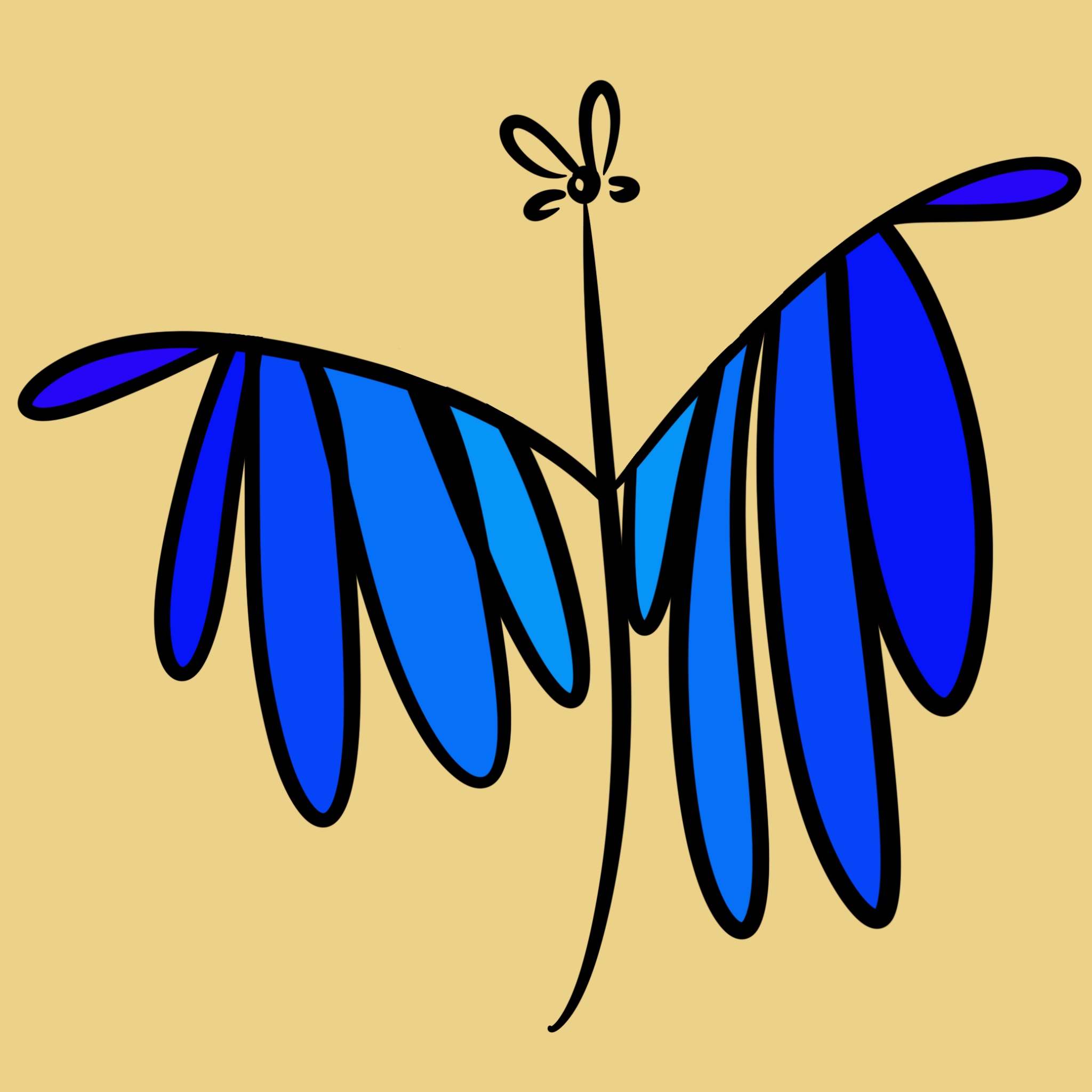 Fly