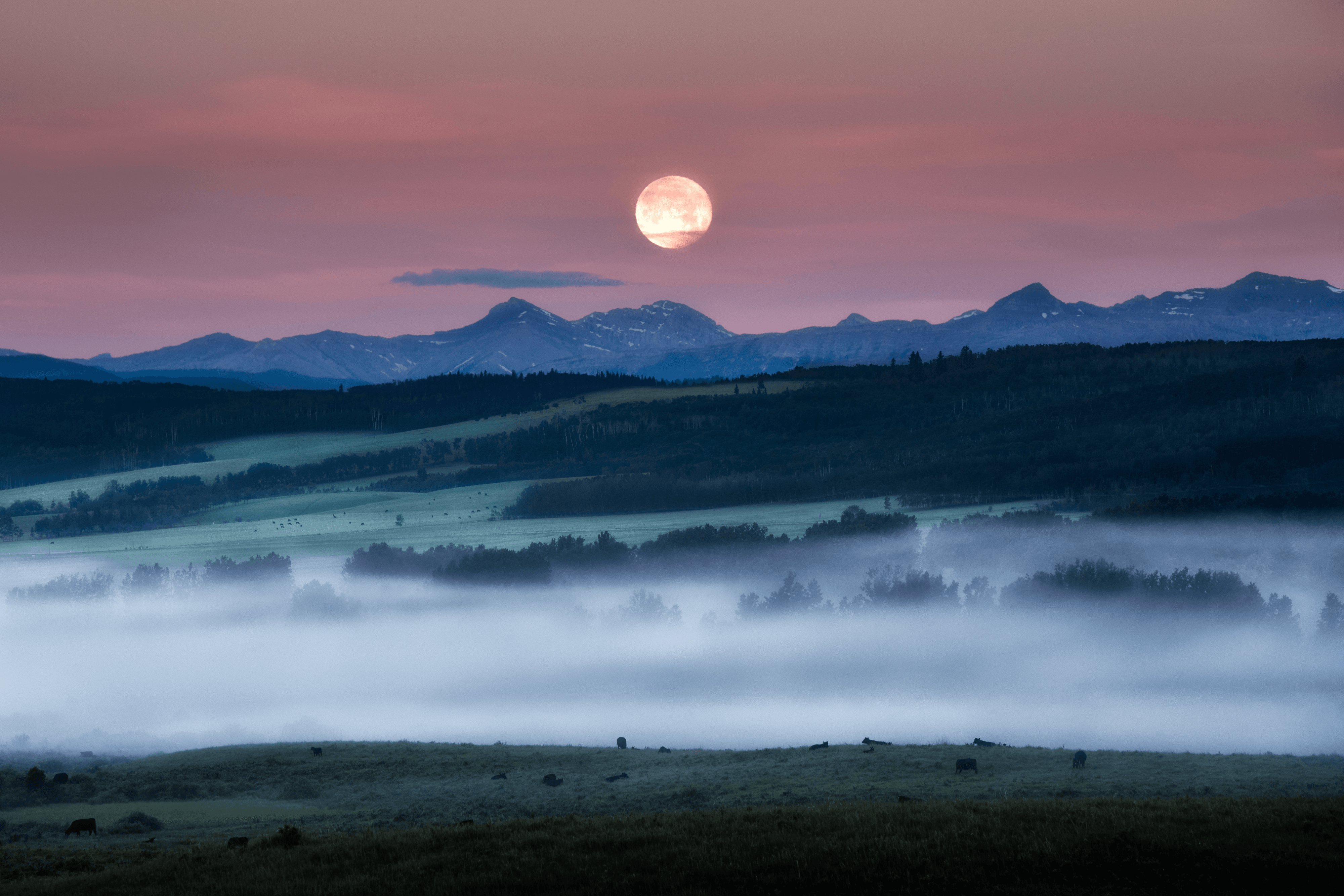Strawberry Moonset