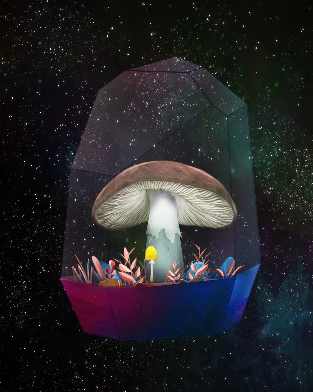 Mushroom #1342