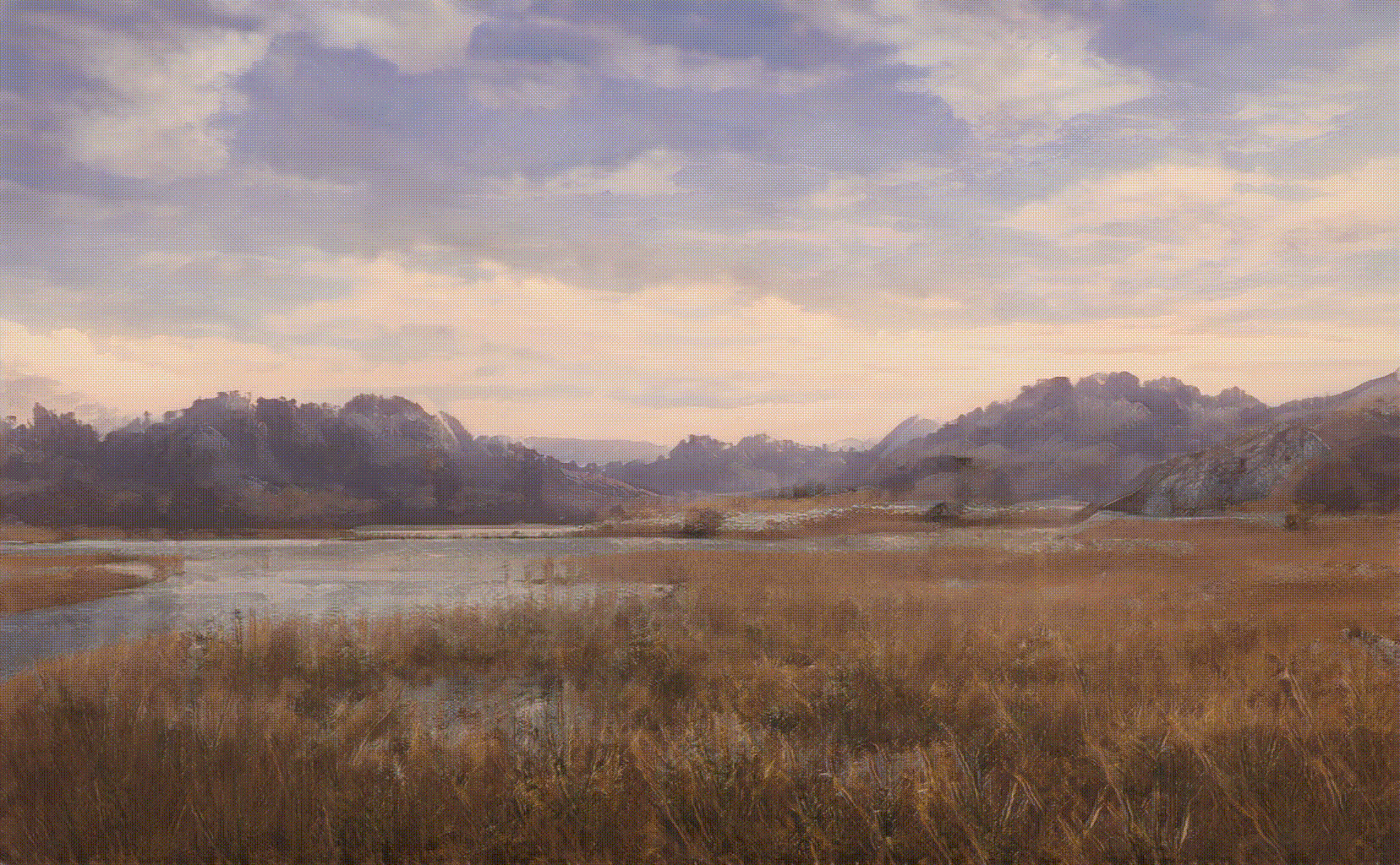 wilderness