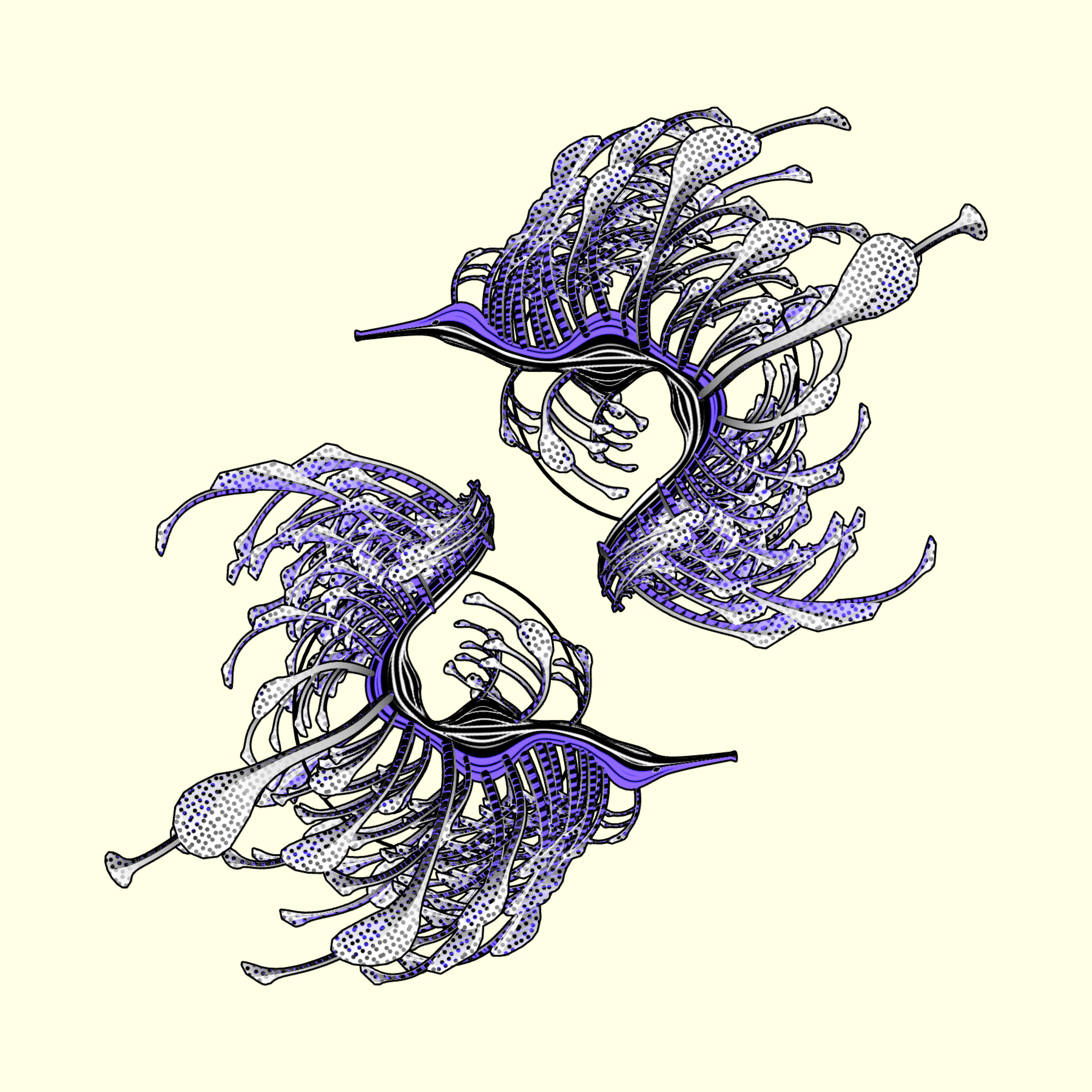 Seadragons #67