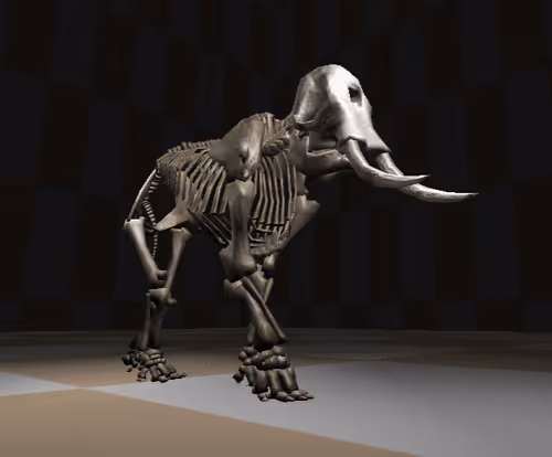 Elephant