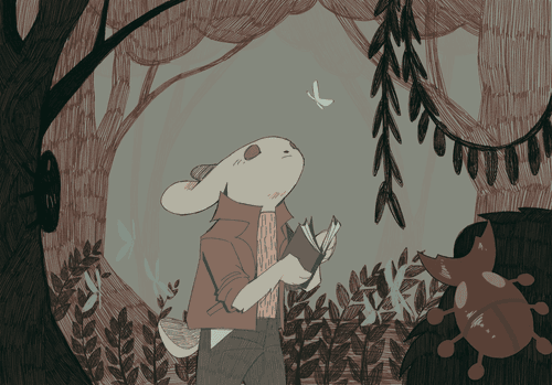 FOREST RABBIT