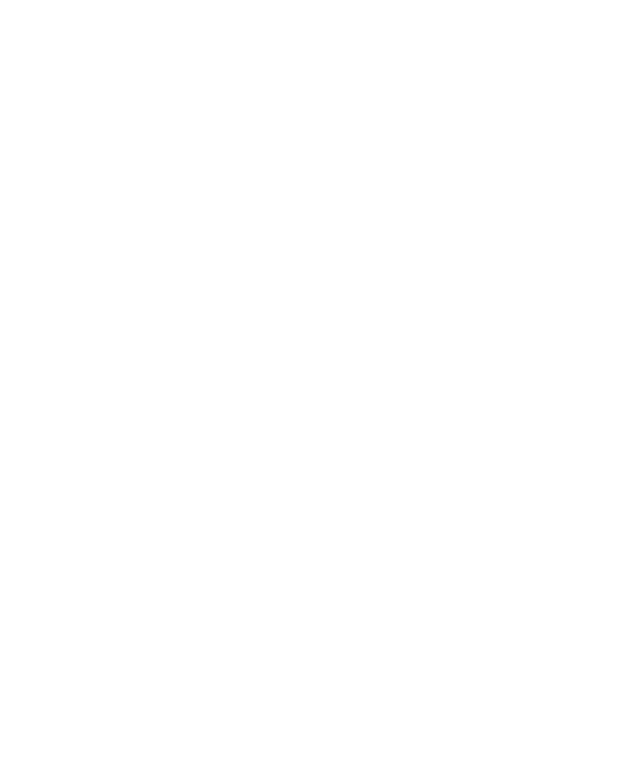 SLIMESHOP - Heavy Dust & Scratches - #861