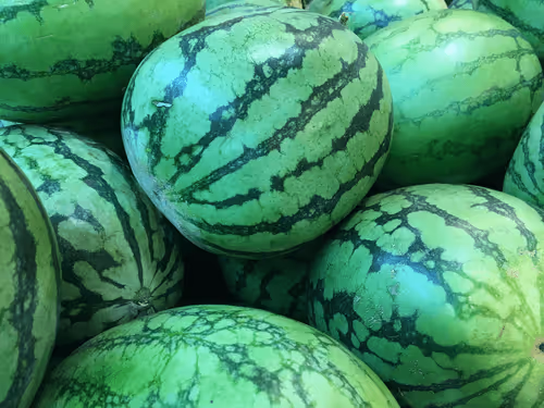 Watermelon