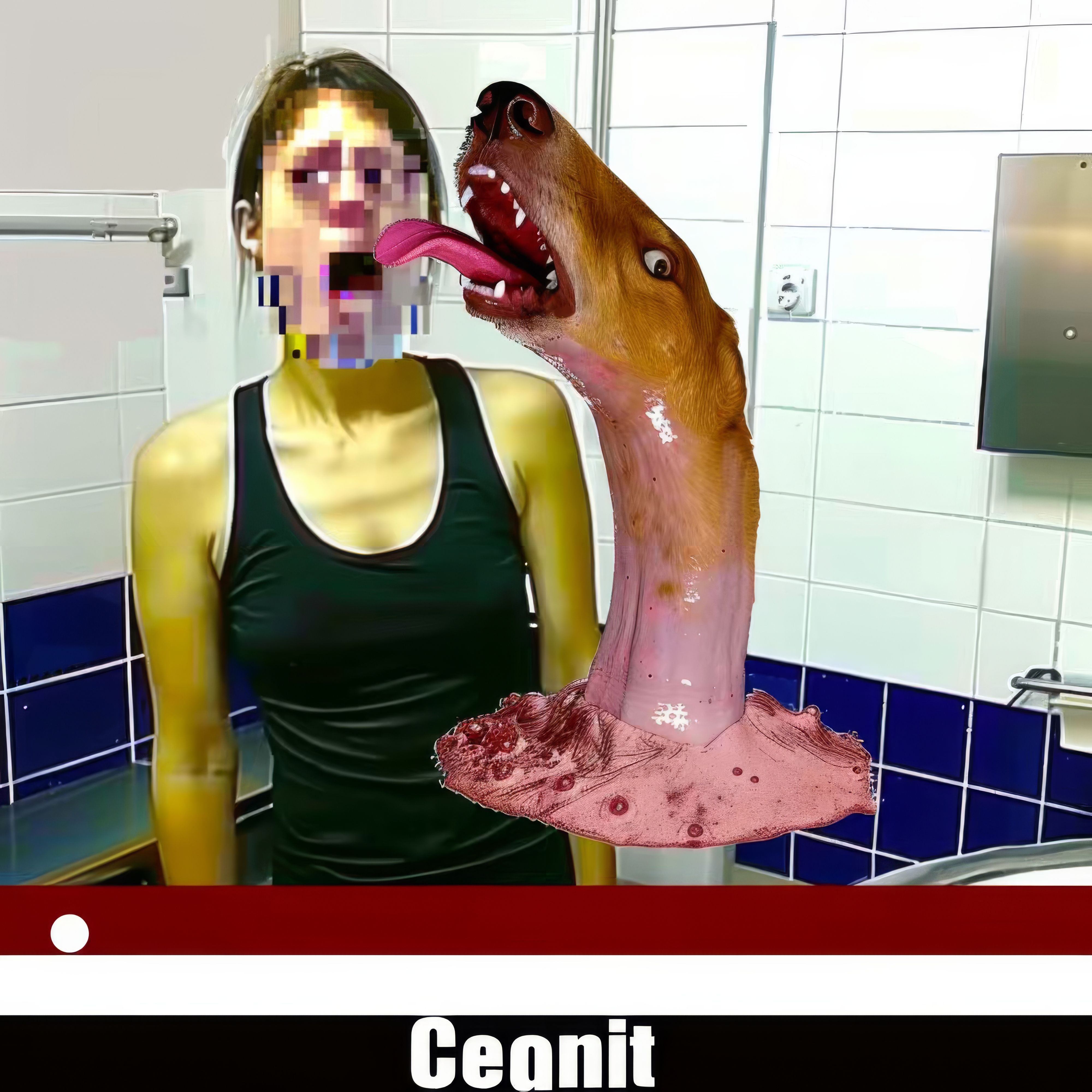 You-Licked