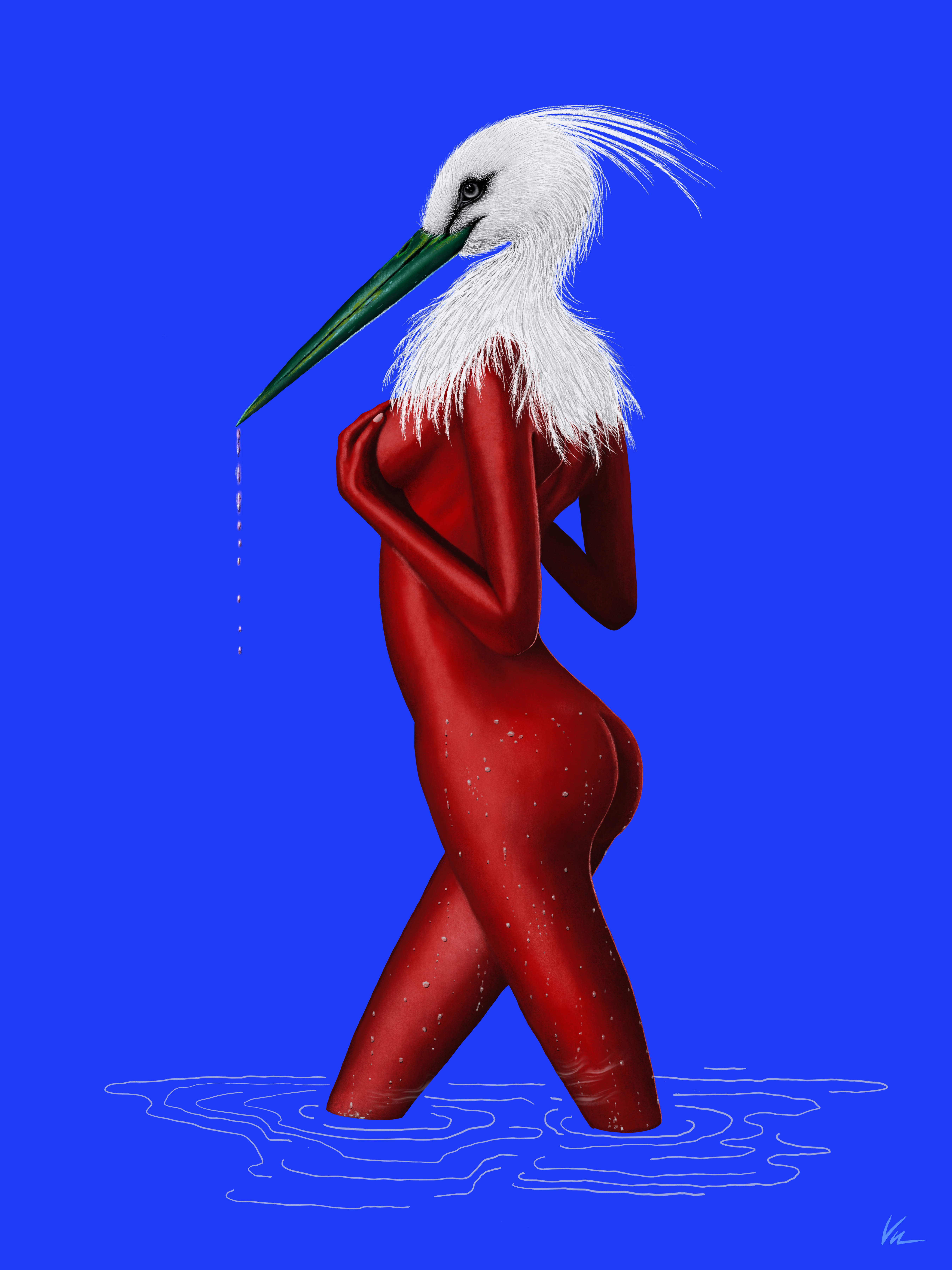 Ardeidae #1/20