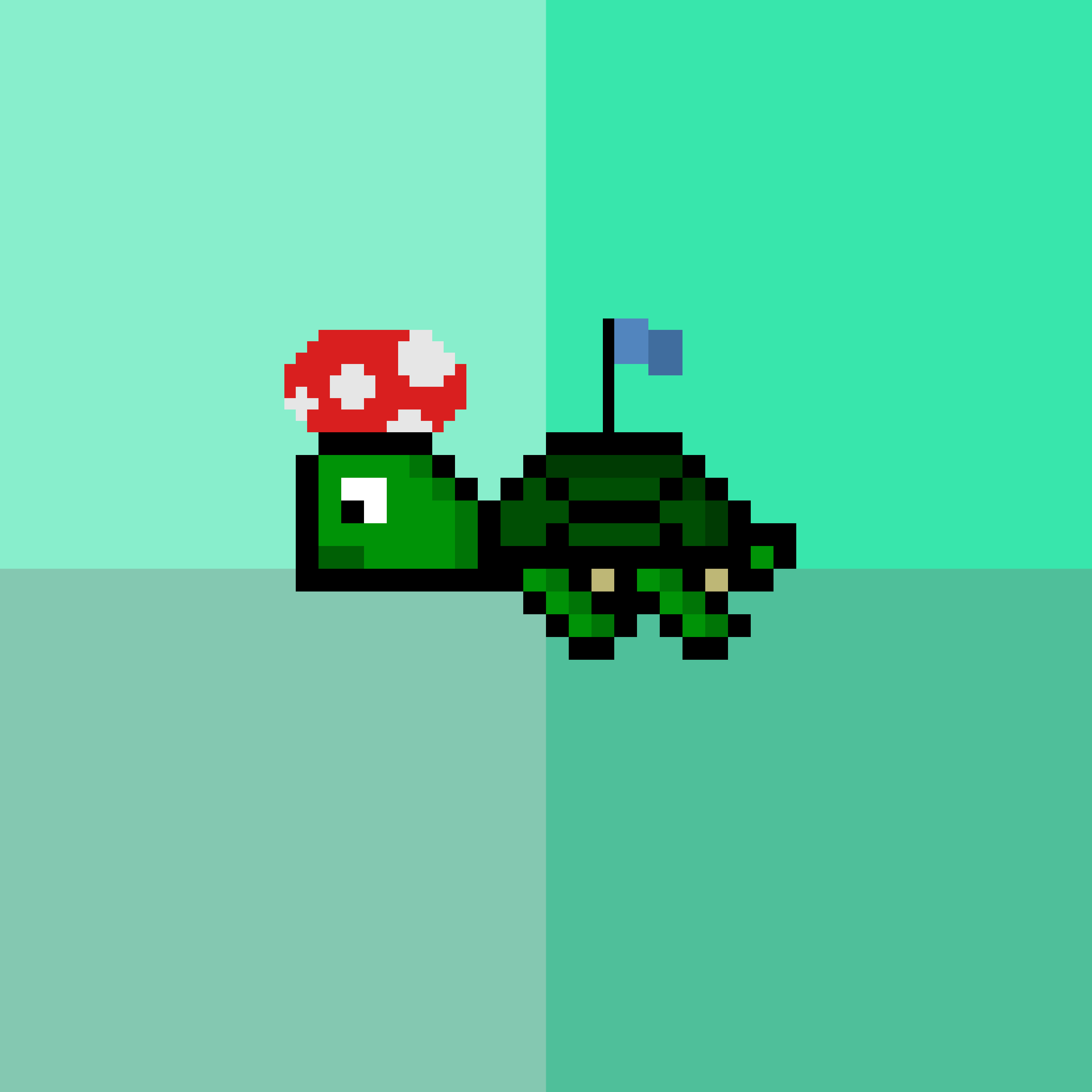 Jail Turtle #2695