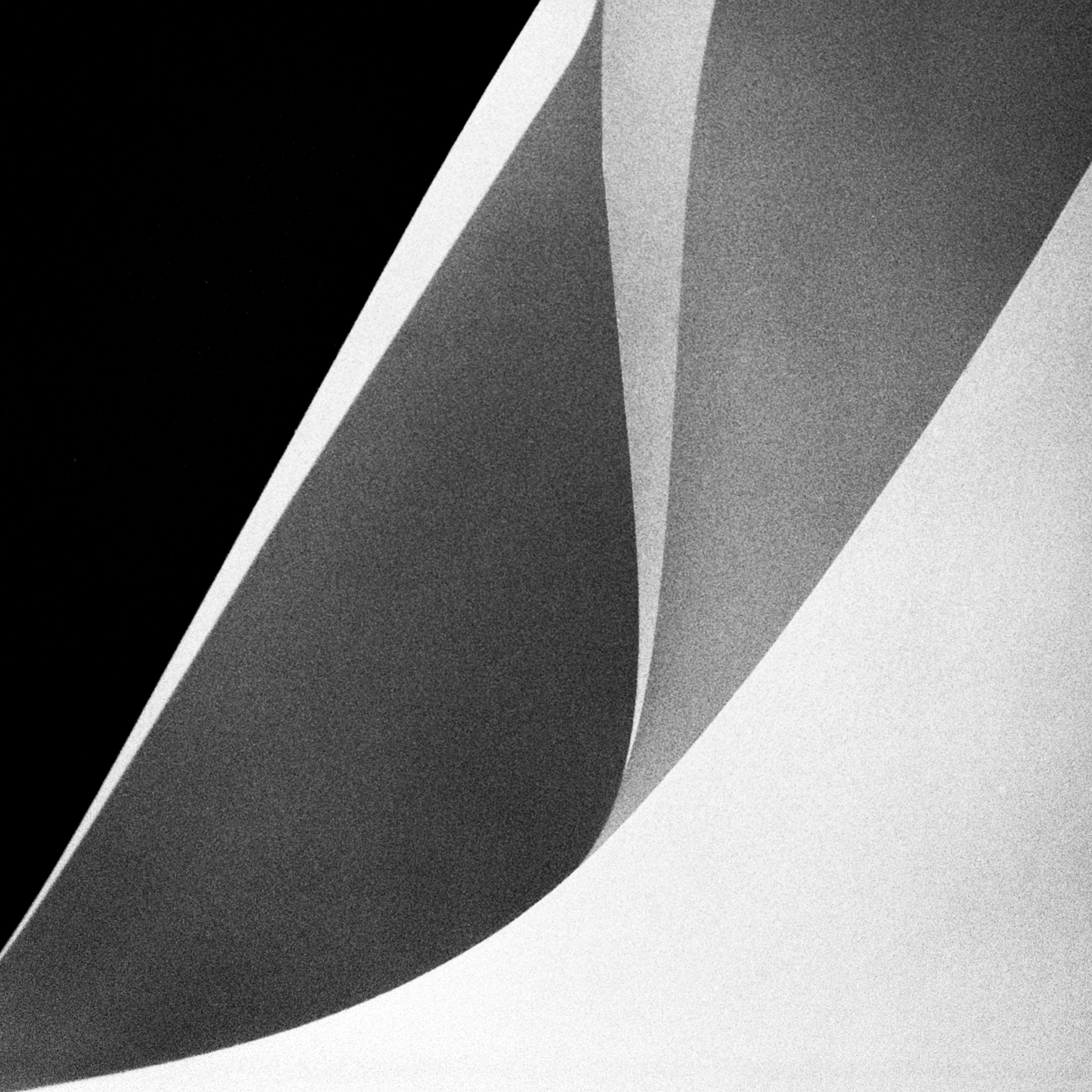 Paper No. 7