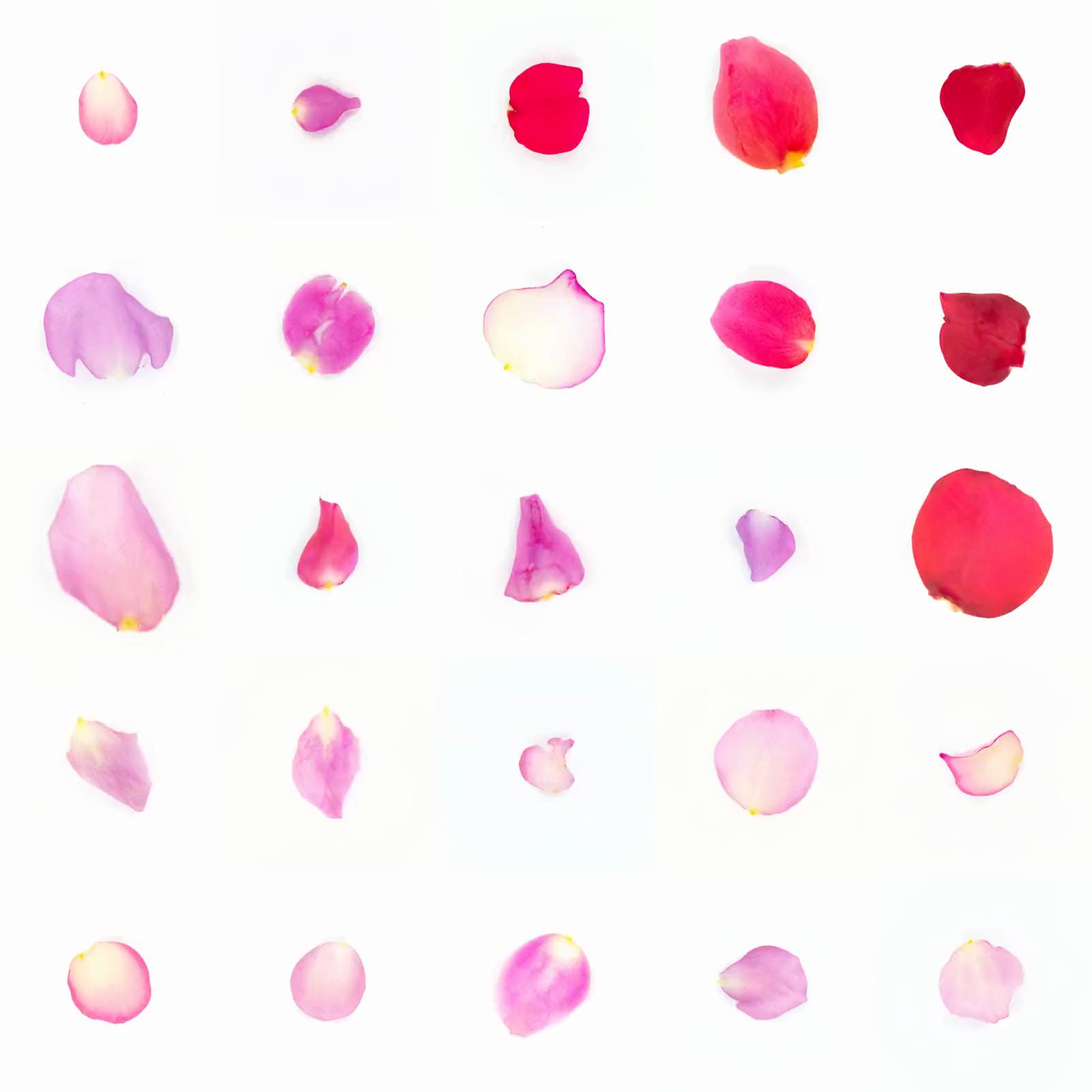 Infinite Petals 5x5#20332