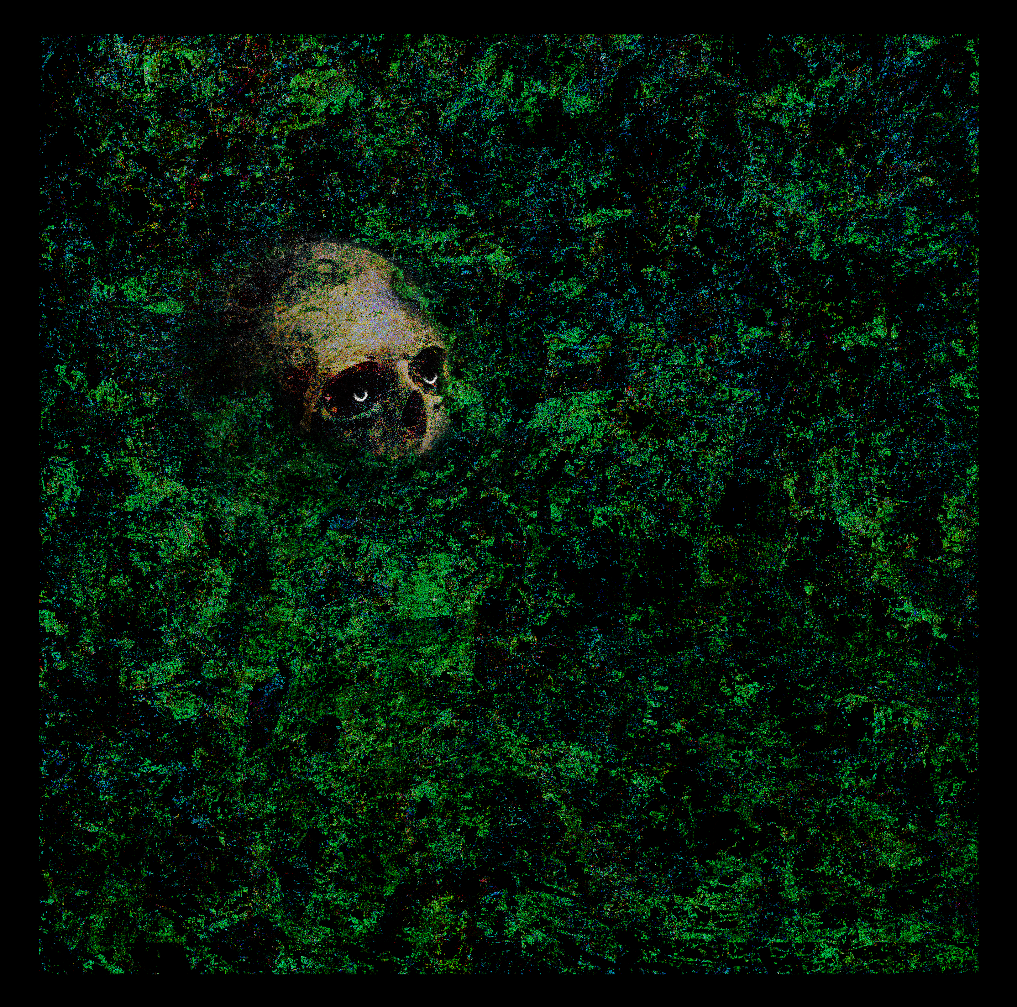 Das Grab Graß
