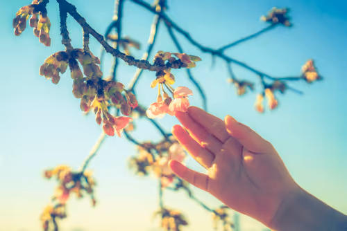 Dreamy days #04