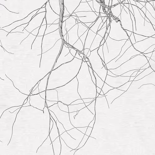 The Oak Tree part #0,-2