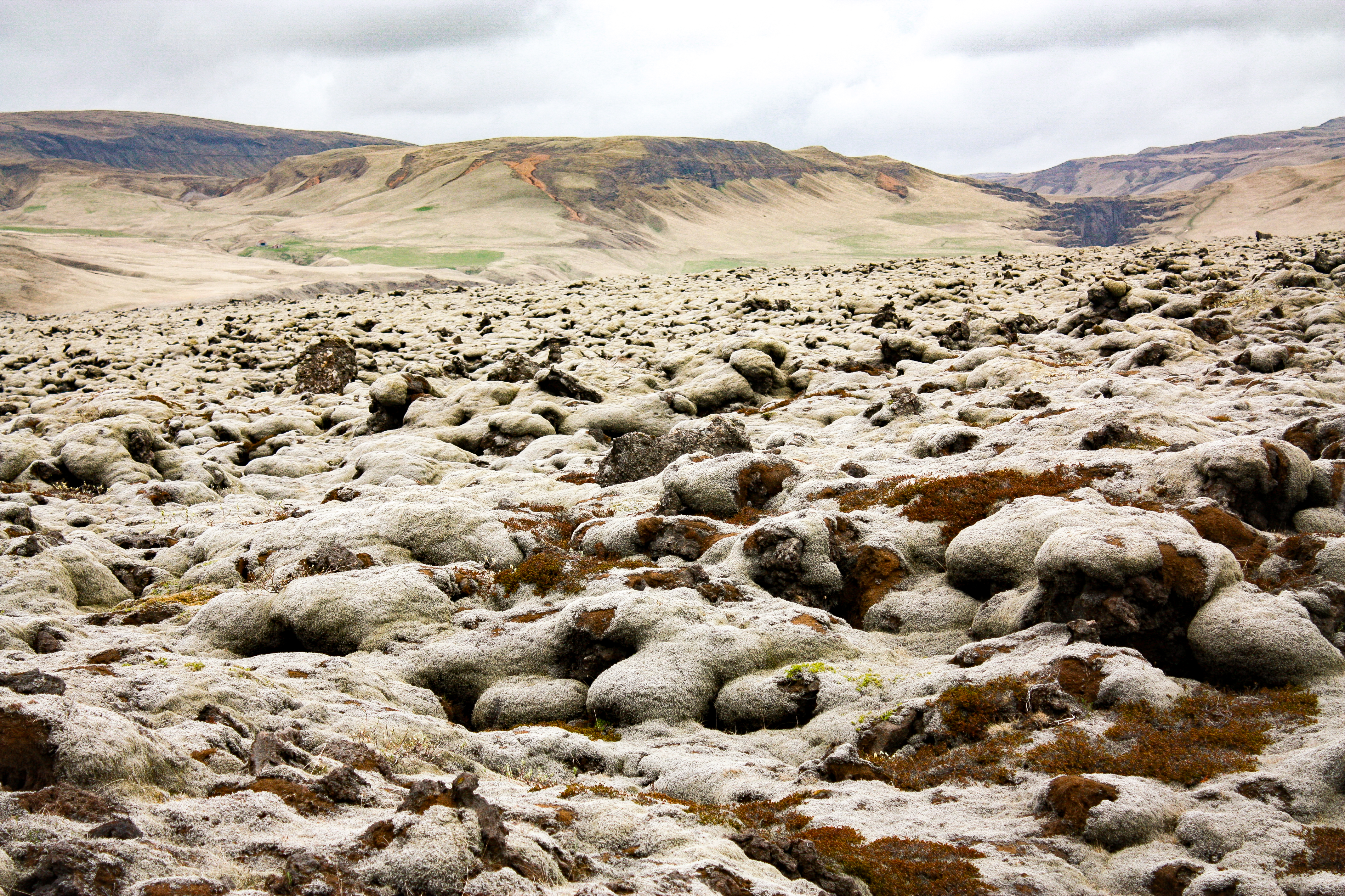 The Terrain of The Fuzzy