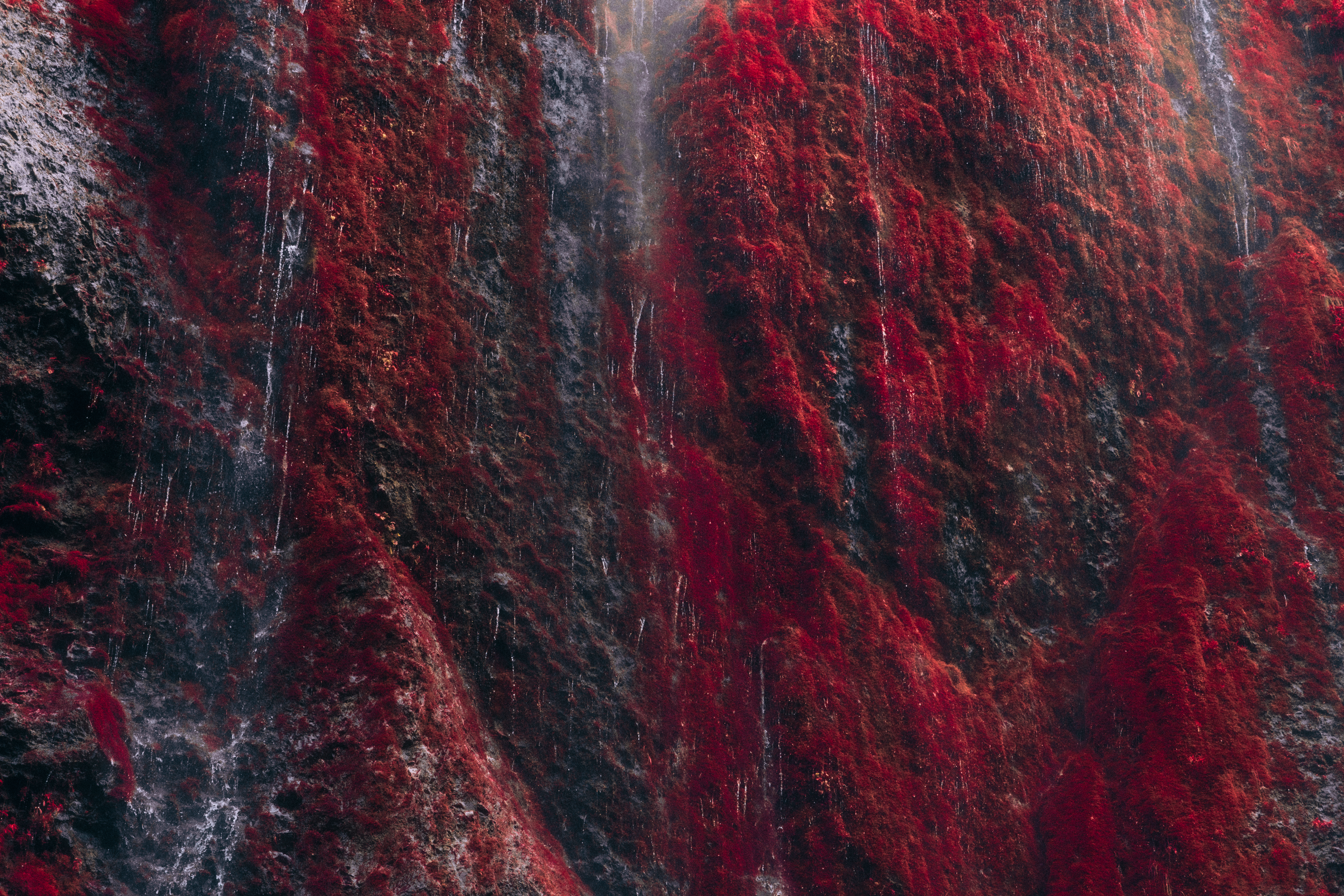 Anomalies IX: The Red Wall